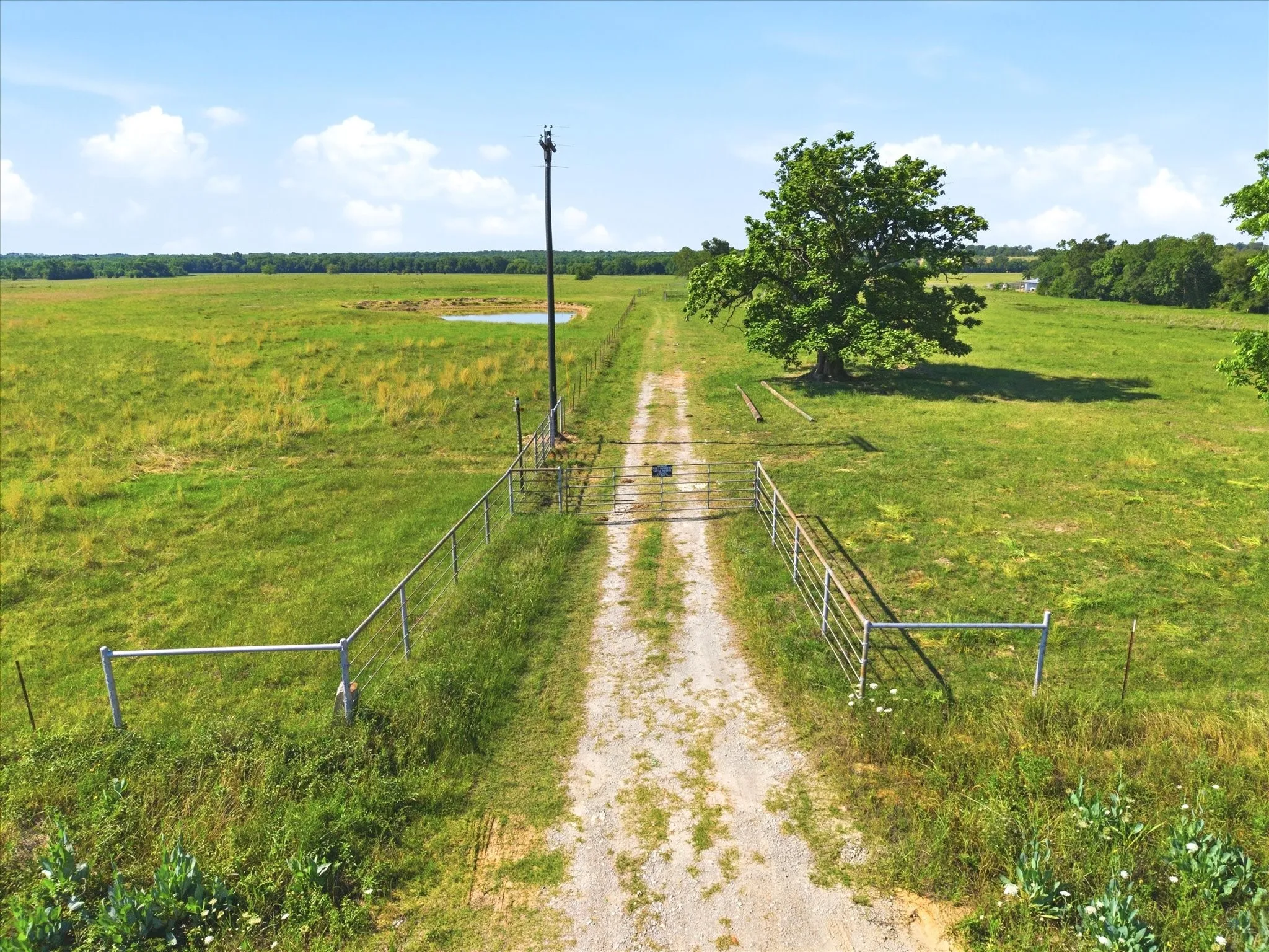 Improved Land For Sale in Van Zandt County , TBD Farm to Market 1995, Van, Texas 75790, 0, 0, Garage spaces, 0 Sqft, built in 0, mls#21261913, Real Estate Agent in Van, Homes For Sale in Van Zandt county, Homes For Sale in Van, Realtor in Van Texas, Real Estate Brokerage Independent Realty Texas, Luminita Cordes Realtor