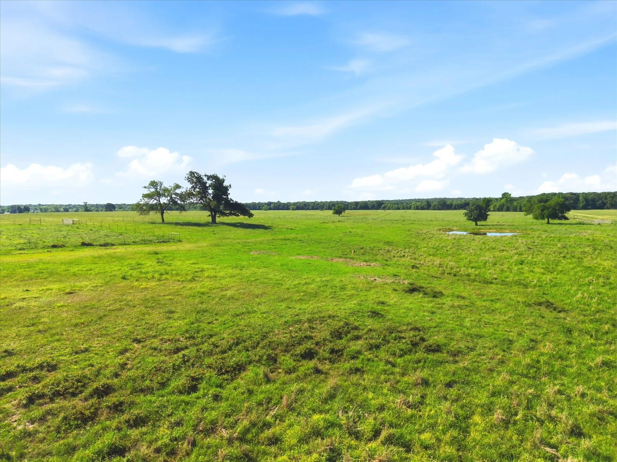 Improved Land For Sale in Van Zandt County , TBD Farm to Market 1995, Van, Texas 75790, 0, 0, Garage spaces, 0 Sqft, built in 0, mls#21261913, Real Estate Agent in Van, Homes For Sale in Van Zandt county, Homes For Sale in Van, Realtor in Van Texas, Real Estate Brokerage Independent Realty Texas, Luminita Cordes Realtor