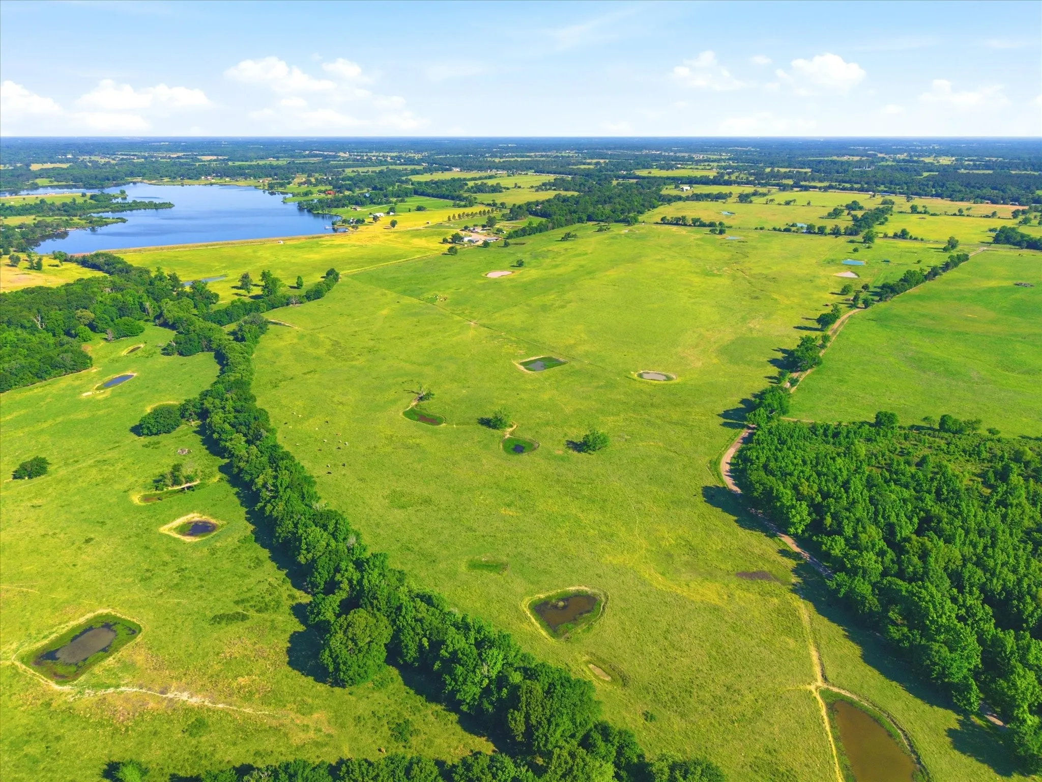 Improved Land For Sale in Van Zandt County , TBD Farm to Market 1995, Van, Texas 75790, 0, 0, Garage spaces, 0 Sqft, built in 0, mls#21261913, Real Estate Agent in Van, Homes For Sale in Van Zandt county, Homes For Sale in Van, Realtor in Van Texas, Real Estate Brokerage Independent Realty Texas, Luminita Cordes Realtor