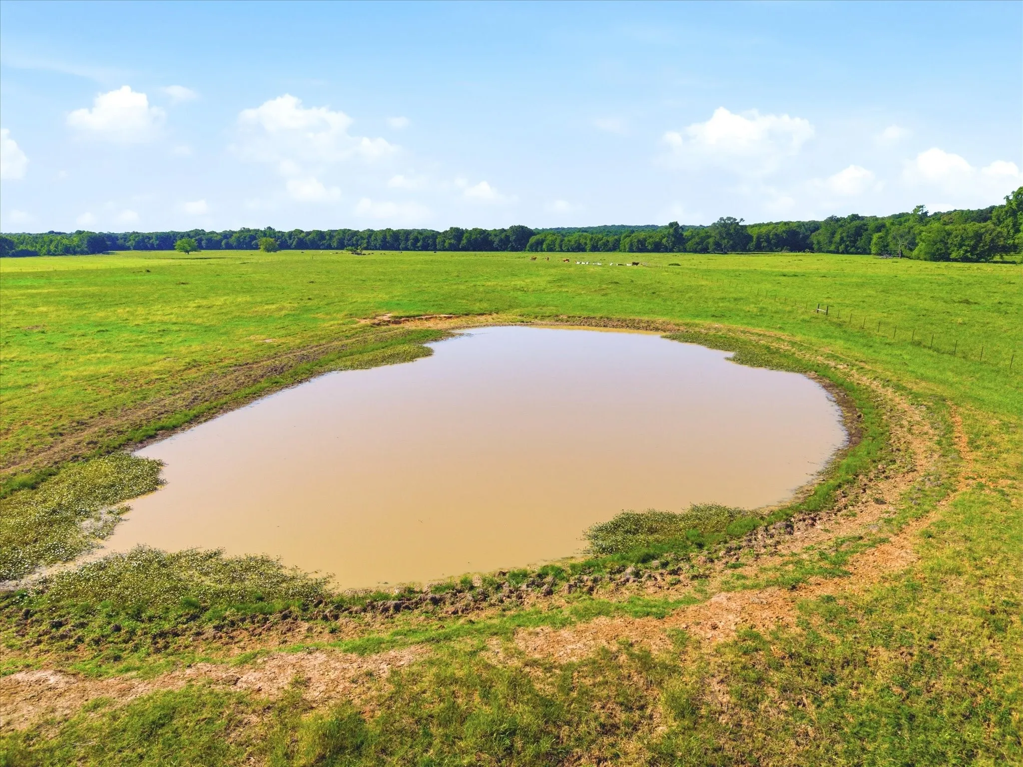 Improved Land For Sale in Van Zandt County , TBD Farm to Market 1995, Van, Texas 75790, 0, 0, Garage spaces, 0 Sqft, built in 0, mls#21261913, Real Estate Agent in Van, Homes For Sale in Van Zandt county, Homes For Sale in Van, Realtor in Van Texas, Real Estate Brokerage Independent Realty Texas, Luminita Cordes Realtor