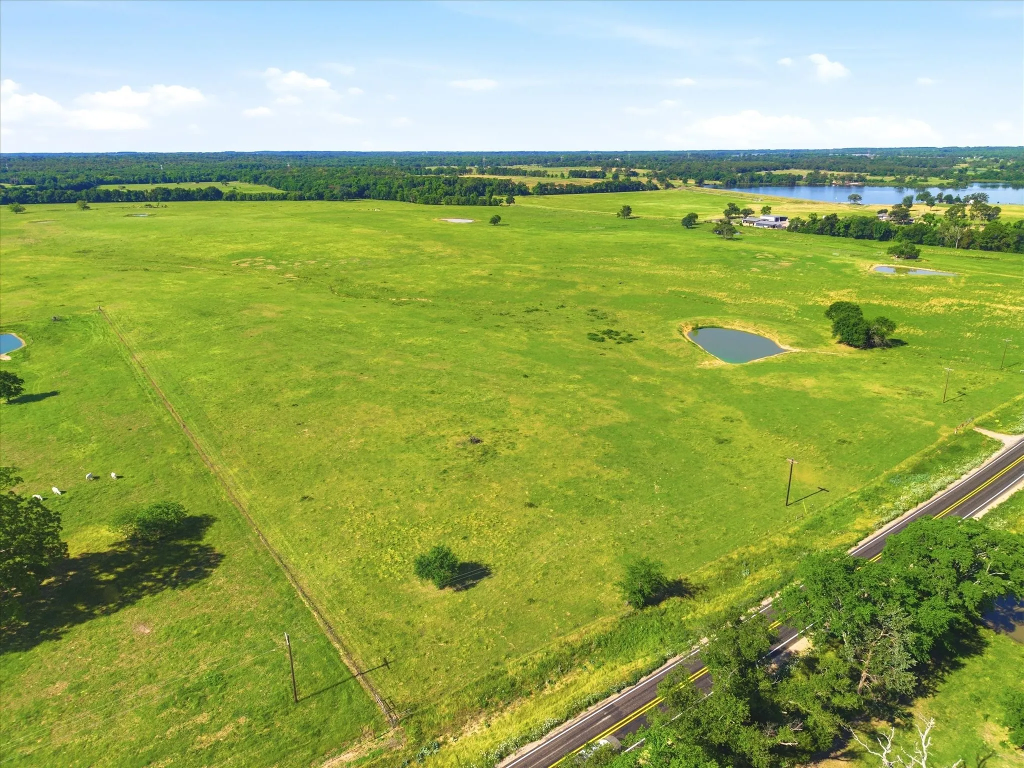 Improved Land For Sale in Van Zandt County , TBD Farm to Market 1995, Van, Texas 75790, 0, 0, Garage spaces, 0 Sqft, built in 0, mls#21261913, Real Estate Agent in Van, Homes For Sale in Van Zandt county, Homes For Sale in Van, Realtor in Van Texas, Real Estate Brokerage Independent Realty Texas, Luminita Cordes Realtor