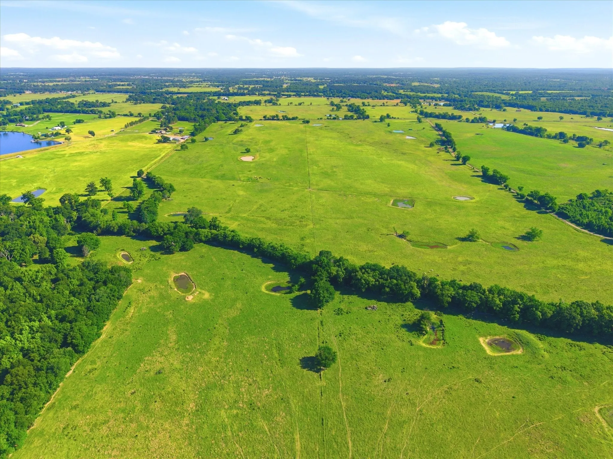 Improved Land For Sale in Van Zandt County , TBD Farm to Market 1995, Van, Texas 75790, 0, 0, Garage spaces, 0 Sqft, built in 0, mls#21261913, Real Estate Agent in Van, Homes For Sale in Van Zandt county, Homes For Sale in Van, Realtor in Van Texas, Real Estate Brokerage Independent Realty Texas, Luminita Cordes Realtor