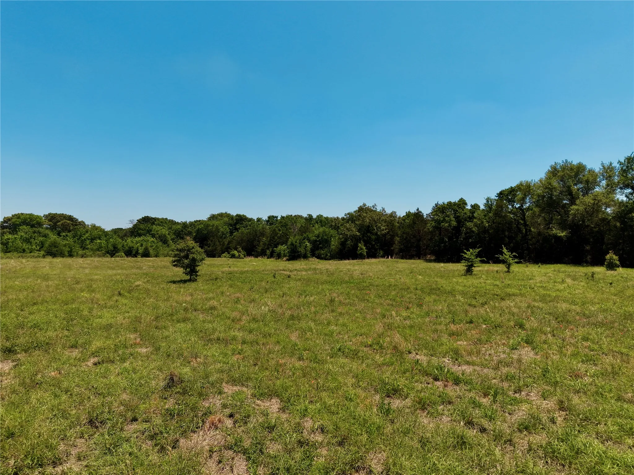 Unimproved Land For Sale in Henderson County , 0 County Road 2911, Eustace, Texas 75124, 0, 0, Garage spaces, 0 Sqft, built in 0, mls#21269764, Real Estate Agent in Eustace, Homes For Sale in Henderson county, Homes For Sale in Eustace, Realtor in Eustace Texas, Real Estate Brokerage Independent Realty Texas, Luminita Cordes Realtor