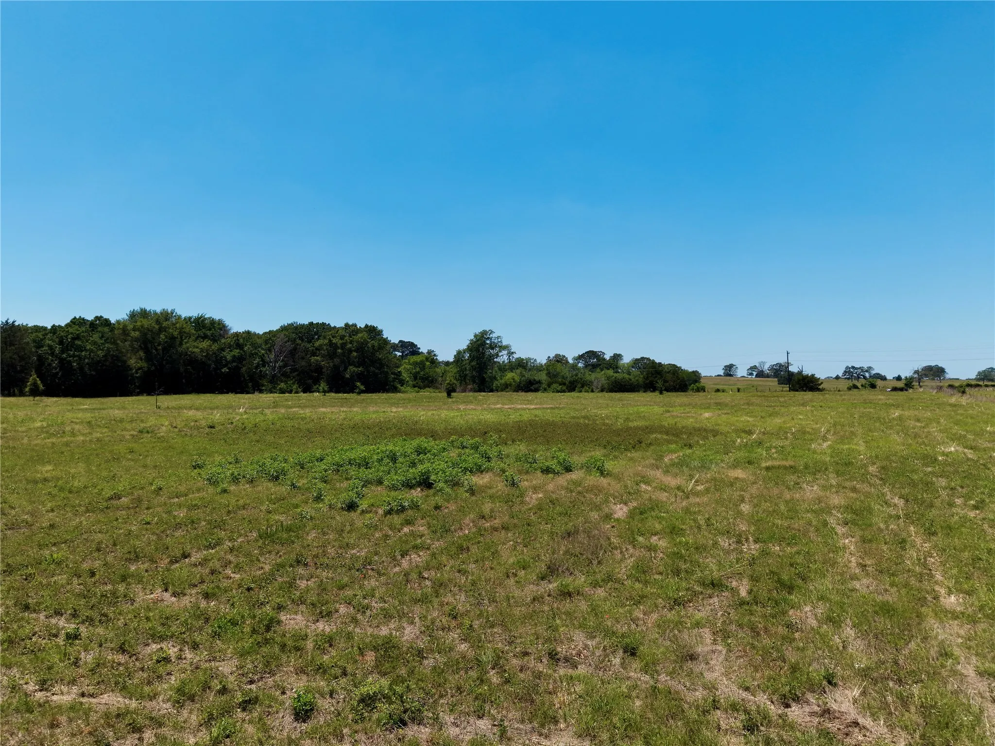 Unimproved Land For Sale in Henderson County , 0 County Road 2911, Eustace, Texas 75124, 0, 0, Garage spaces, 0 Sqft, built in 0, mls#21269764, Real Estate Agent in Eustace, Homes For Sale in Henderson county, Homes For Sale in Eustace, Realtor in Eustace Texas, Real Estate Brokerage Independent Realty Texas, Luminita Cordes Realtor