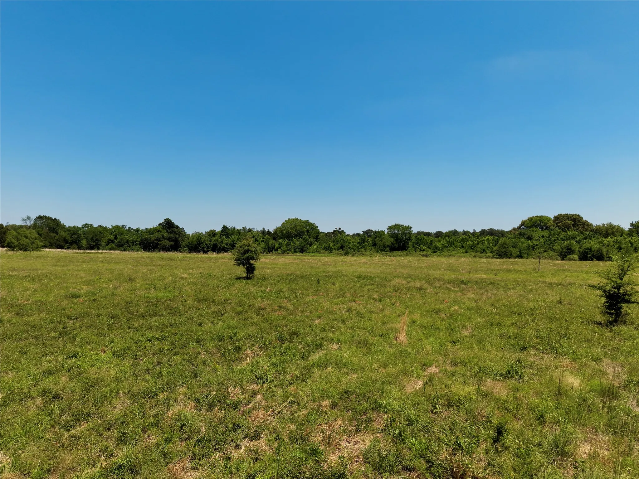 Unimproved Land For Sale in Henderson County , 0 County Road 2911, Eustace, Texas 75124, 0, 0, Garage spaces, 0 Sqft, built in 0, mls#21269764, Real Estate Agent in Eustace, Homes For Sale in Henderson county, Homes For Sale in Eustace, Realtor in Eustace Texas, Real Estate Brokerage Independent Realty Texas, Luminita Cordes Realtor