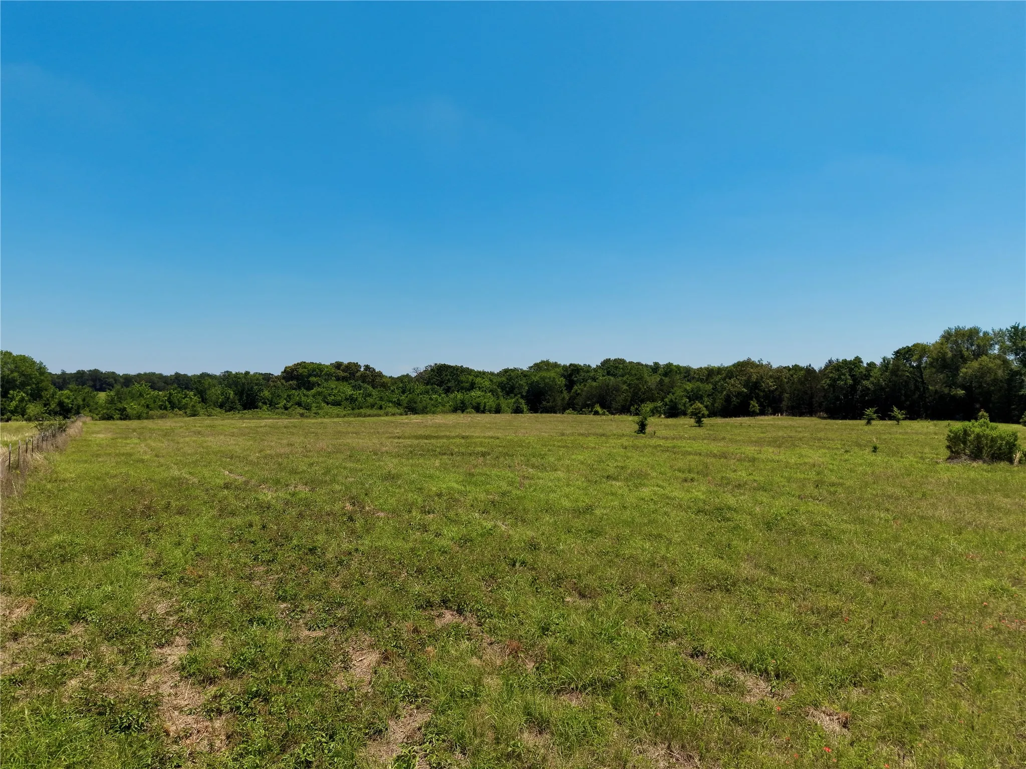 Unimproved Land For Sale in Henderson County , 0 County Road 2911, Eustace, Texas 75124, 0, 0, Garage spaces, 0 Sqft, built in 0, mls#21269764, Real Estate Agent in Eustace, Homes For Sale in Henderson county, Homes For Sale in Eustace, Realtor in Eustace Texas, Real Estate Brokerage Independent Realty Texas, Luminita Cordes Realtor