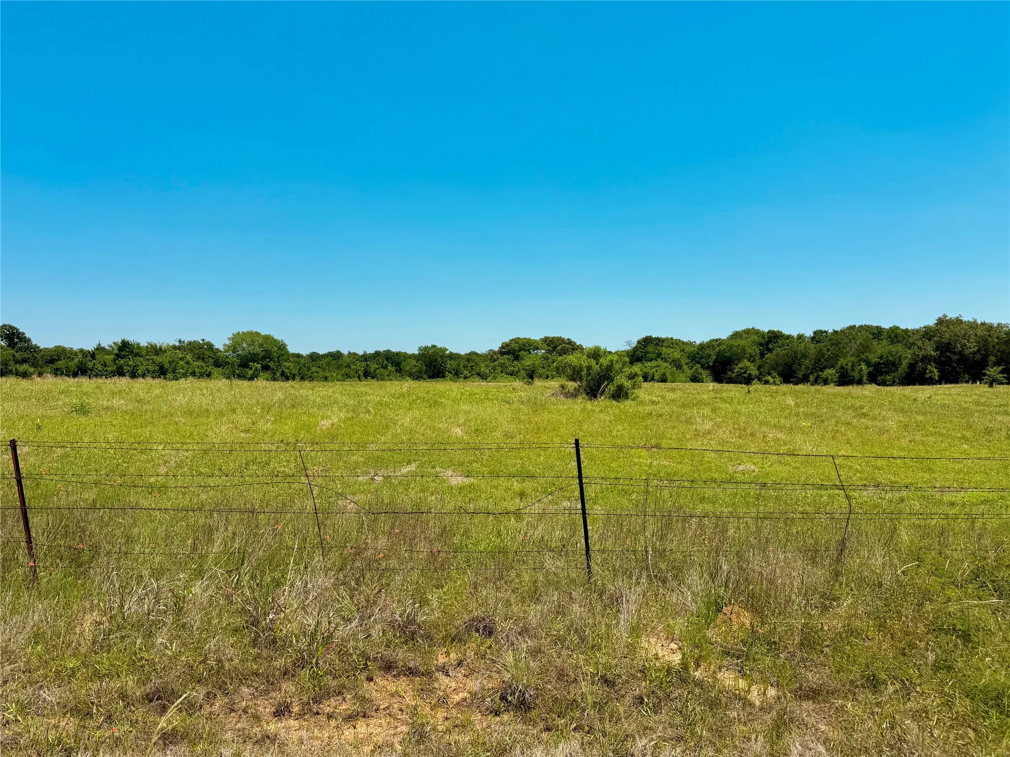 Unimproved Land For Sale in Henderson County , 0 County Road 2911, Eustace, Texas 75124, 0, 0, Garage spaces, 0 Sqft, built in 0, mls#21269764, Real Estate Agent in Eustace, Homes For Sale in Henderson county, Homes For Sale in Eustace, Realtor in Eustace Texas, Real Estate Brokerage Independent Realty Texas, Luminita Cordes Realtor