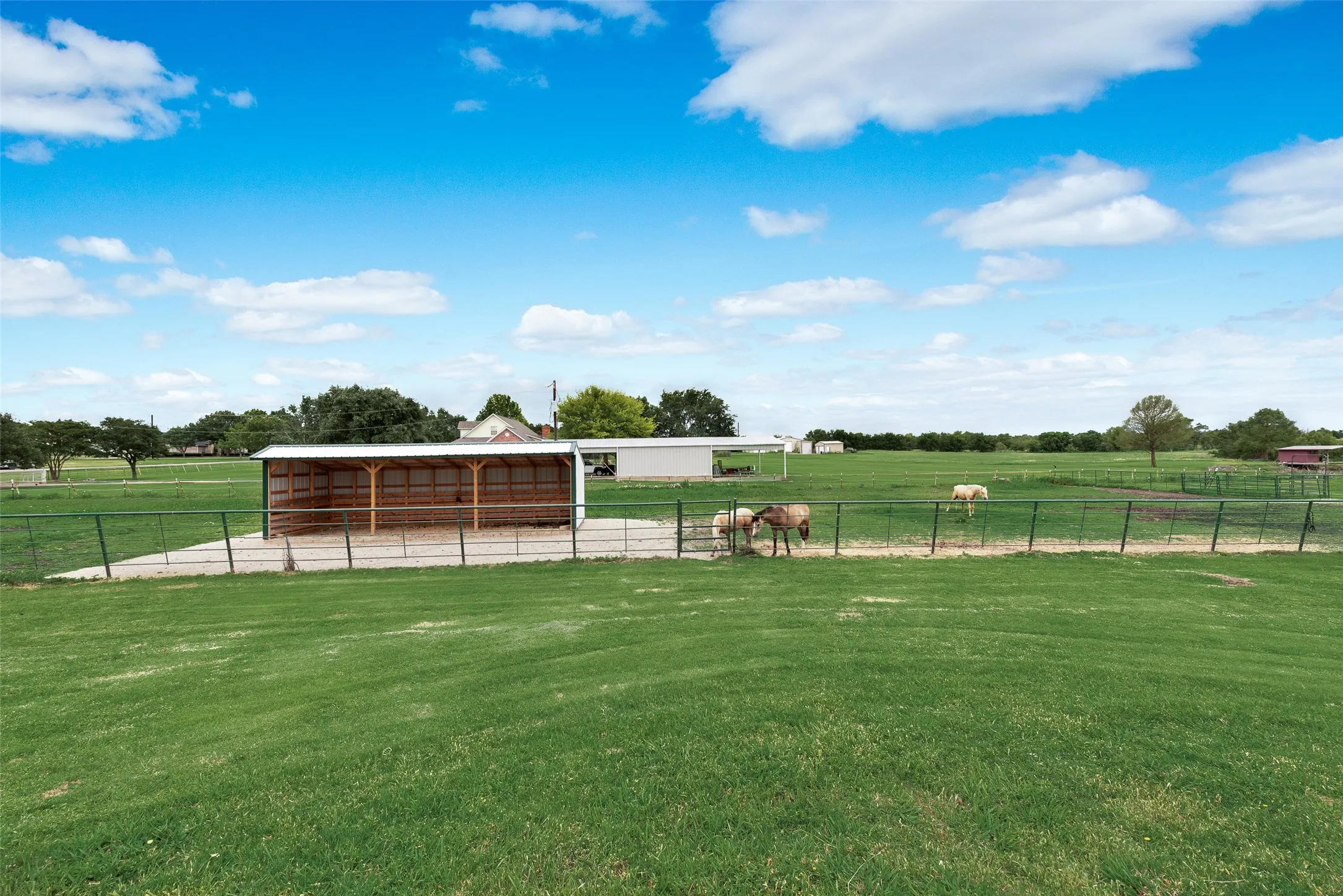 Pasture run-in shed with improved footing