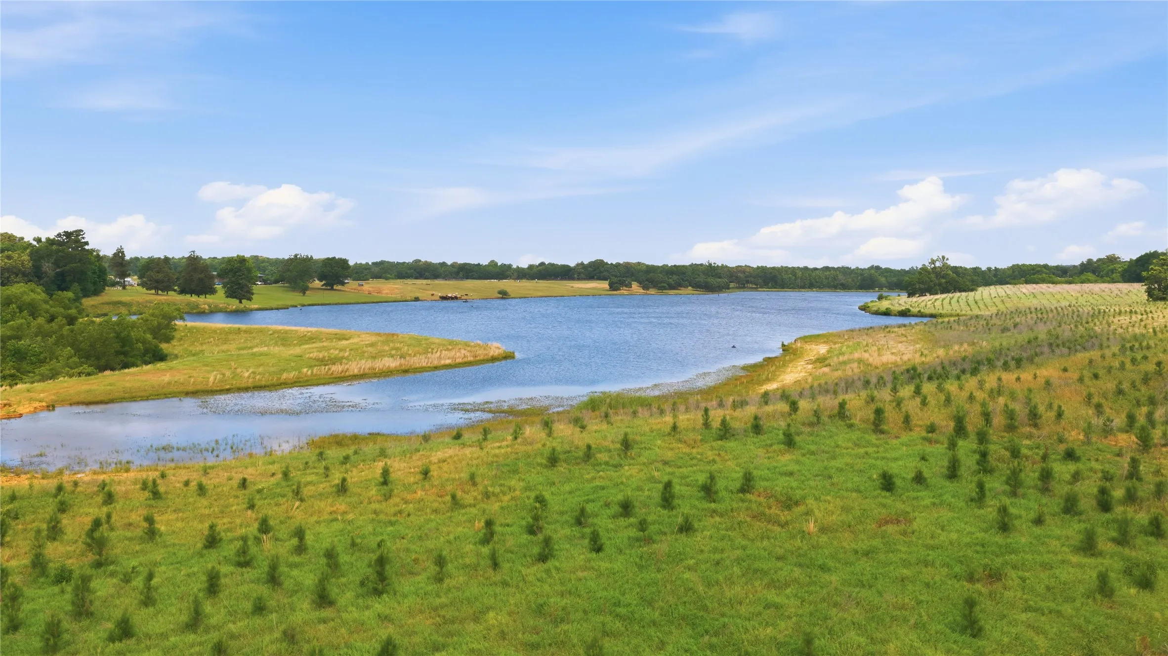 Ranch For Sale in Henderson County , 11843 Highway 175 E Highway, Larue, Texas 75770, 0, 0, Garage spaces, 0 Sqft, built in 2008, Price $3,995,000, mls#21270422, Real Estate Agent in Larue, Homes For Sale in Henderson county, Homes For Sale in Larue, Realtor in Larue Texas, Real Estate Brokerage Independent Realty Texas, Luminita Cordes Realtor