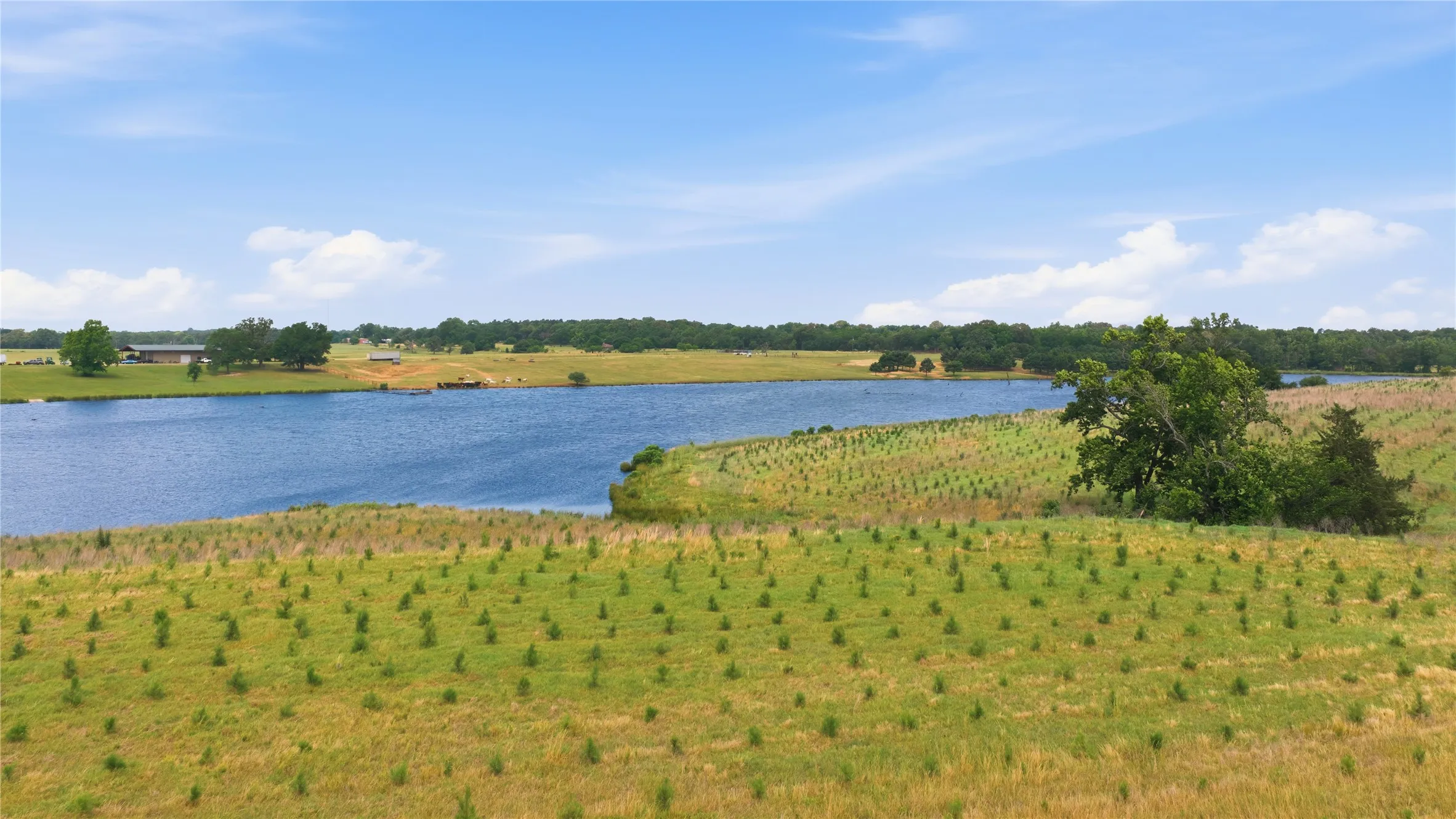 Ranch For Sale in Henderson County , 11843 Highway 175 E Highway, Larue, Texas 75770, 0, 0, Garage spaces, 0 Sqft, built in 2008, Price $3,995,000, mls#21270422, Real Estate Agent in Larue, Homes For Sale in Henderson county, Homes For Sale in Larue, Realtor in Larue Texas, Real Estate Brokerage Independent Realty Texas, Luminita Cordes Realtor