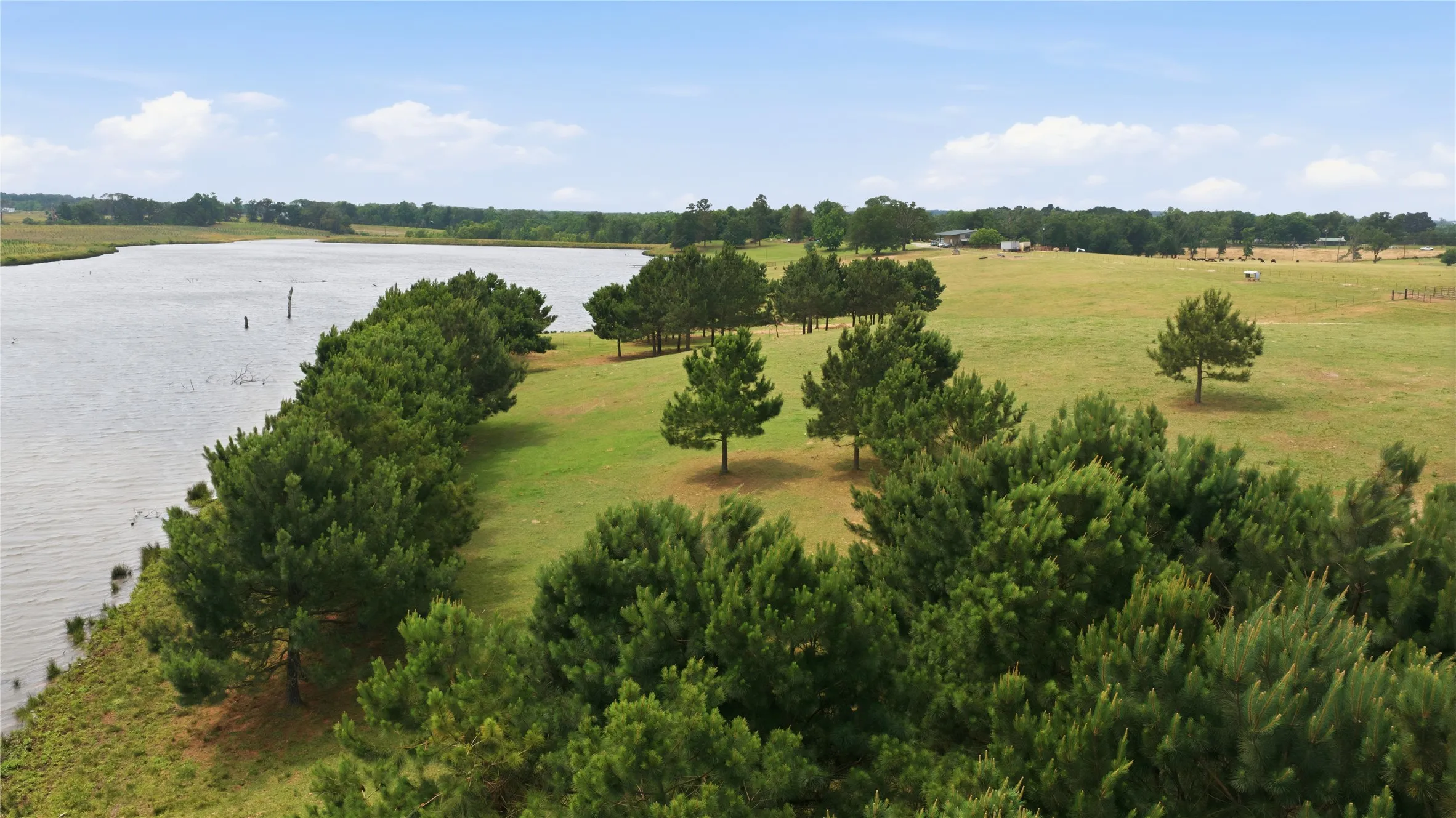 Ranch For Sale in Henderson County , 11843 Highway 175 E Highway, Larue, Texas 75770, 0, 0, Garage spaces, 0 Sqft, built in 2008, Price $3,995,000, mls#21270422, Real Estate Agent in Larue, Homes For Sale in Henderson county, Homes For Sale in Larue, Realtor in Larue Texas, Real Estate Brokerage Independent Realty Texas, Luminita Cordes Realtor
