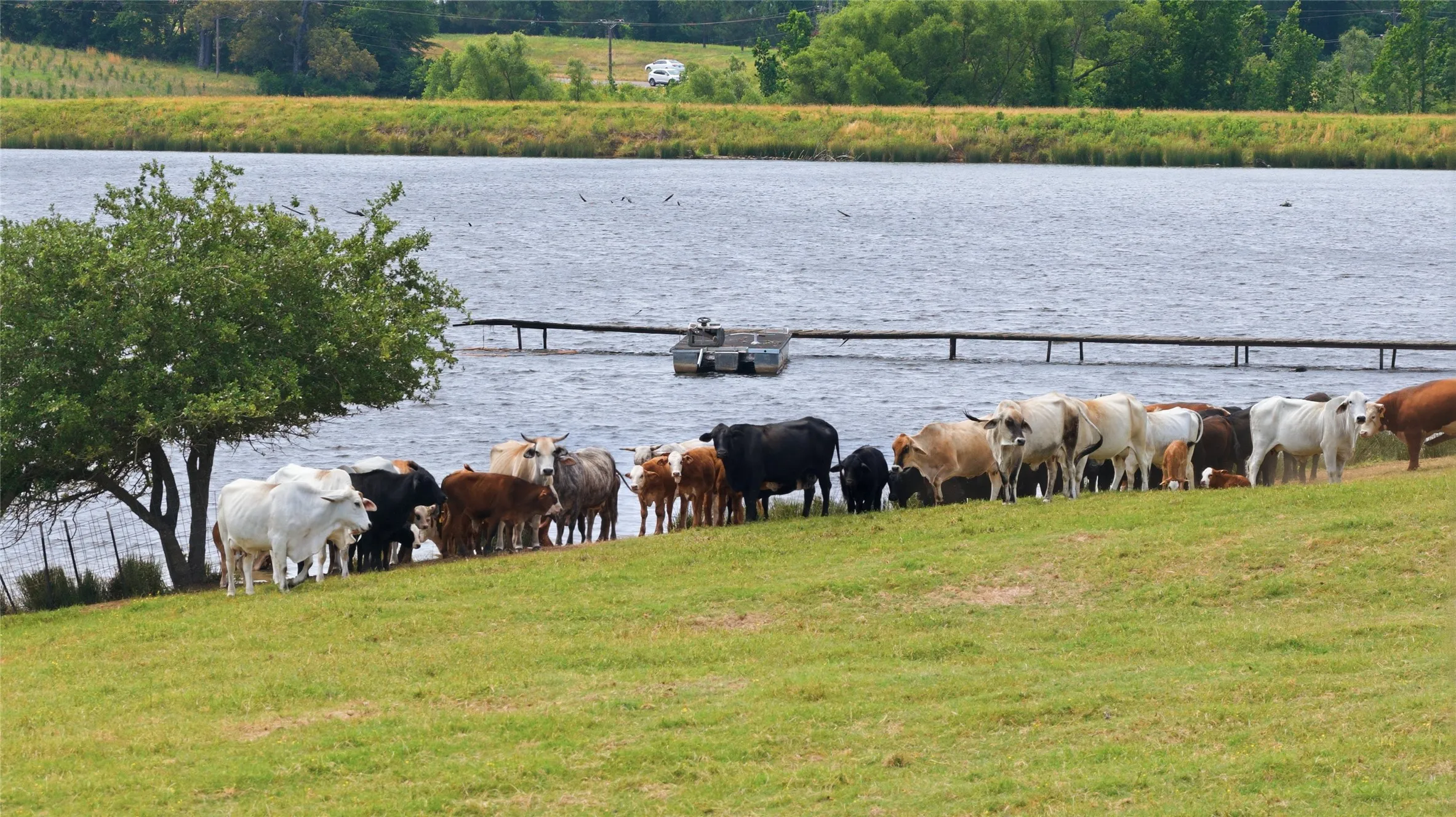 Ranch For Sale in Henderson County , 11843 Highway 175 E Highway, Larue, Texas 75770, 0, 0, Garage spaces, 0 Sqft, built in 2008, Price $3,995,000, mls#21270422, Real Estate Agent in Larue, Homes For Sale in Henderson county, Homes For Sale in Larue, Realtor in Larue Texas, Real Estate Brokerage Independent Realty Texas, Luminita Cordes Realtor