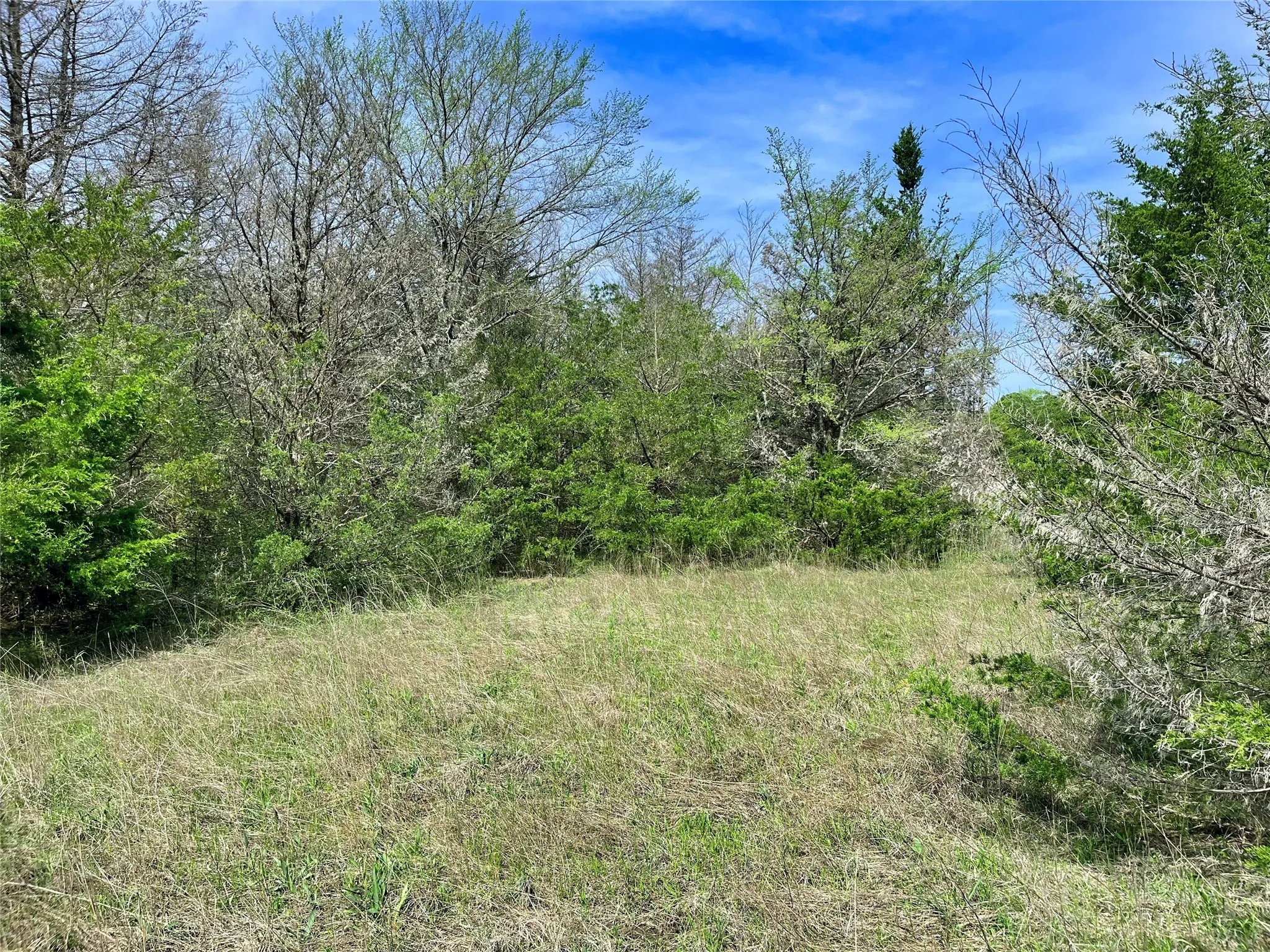 Unimproved Land For Sale in Fannin County , 9999 Fm 2645, Ector, Texas 75439, 0, 0, Garage spaces, 0 Sqft, built in 0, mls#21270364, Real Estate Agent in Ector, Homes For Sale in Fannin county, Homes For Sale in Ector, Realtor in Ector Texas, Real Estate Brokerage Independent Realty Texas, Luminita Cordes Realtor