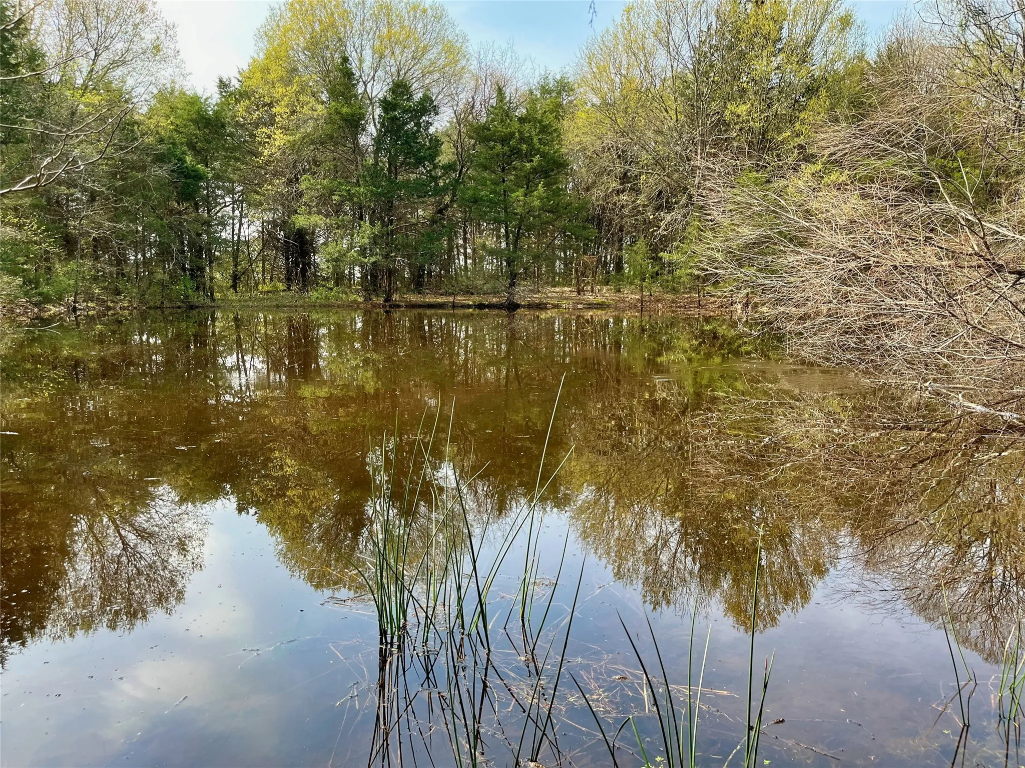 Unimproved Land For Sale in Fannin County , 9999 Fm 2645, Ector, Texas 75439, 0, 0, Garage spaces, 0 Sqft, built in 0, mls#21270364, Real Estate Agent in Ector, Homes For Sale in Fannin county, Homes For Sale in Ector, Realtor in Ector Texas, Real Estate Brokerage Independent Realty Texas, Luminita Cordes Realtor