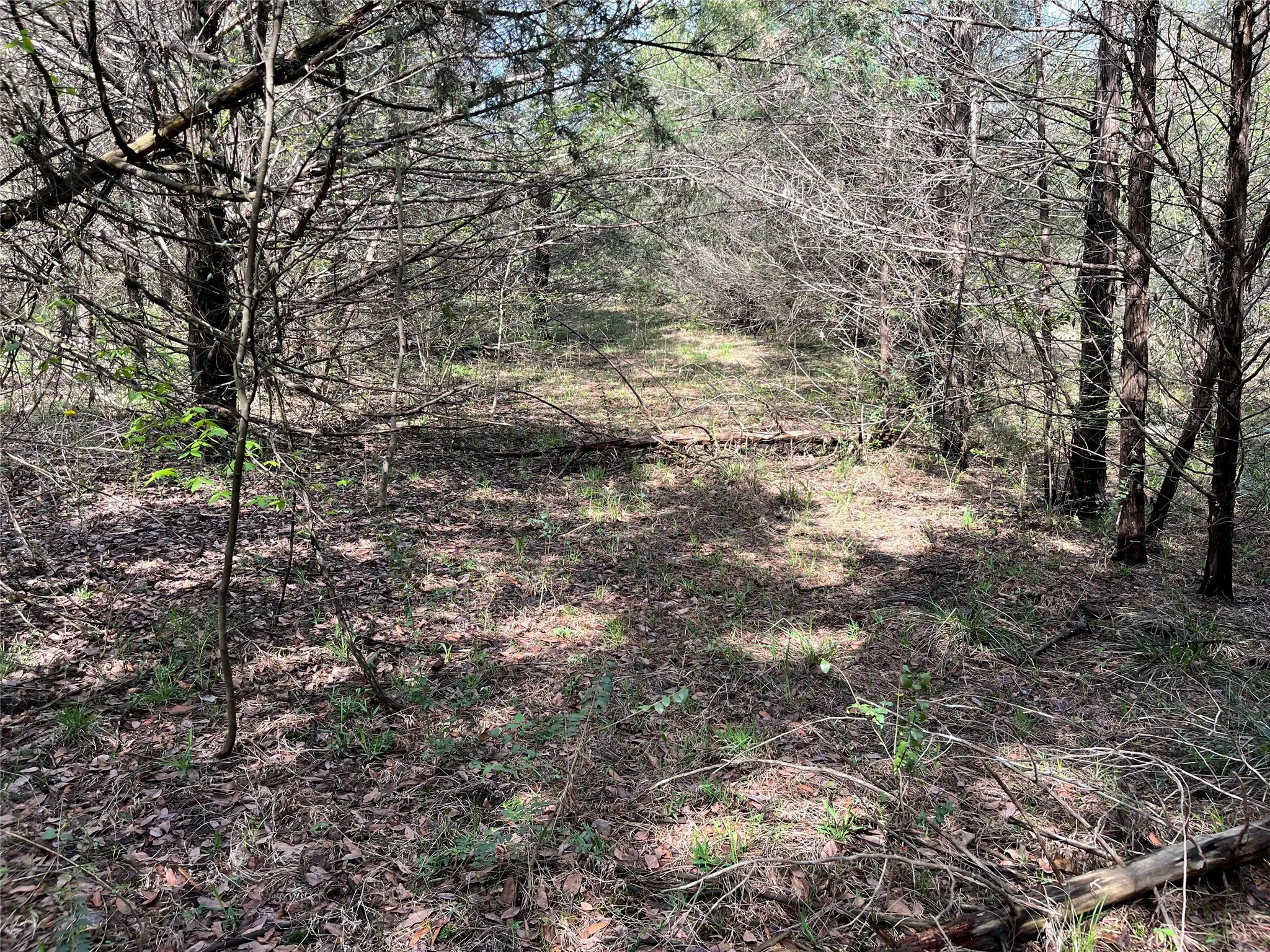 Unimproved Land For Sale in Fannin County , 9999 Fm 2645, Ector, Texas 75439, 0, 0, Garage spaces, 0 Sqft, built in 0, mls#21270364, Real Estate Agent in Ector, Homes For Sale in Fannin county, Homes For Sale in Ector, Realtor in Ector Texas, Real Estate Brokerage Independent Realty Texas, Luminita Cordes Realtor
