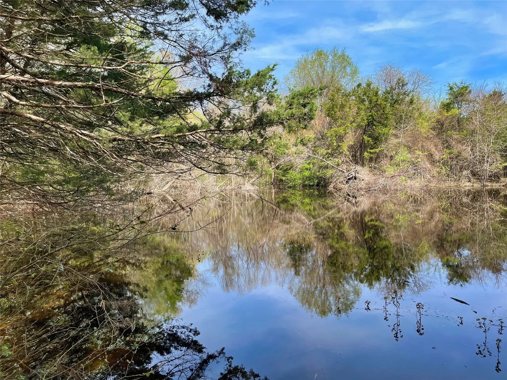 Unimproved Land For Sale in Fannin County , 9999 Fm 2645, Ector, Texas 75439, 0, 0, Garage spaces, 0 Sqft, built in 0, mls#21270364, Real Estate Agent in Ector, Homes For Sale in Fannin county, Homes For Sale in Ector, Realtor in Ector Texas, Real Estate Brokerage Independent Realty Texas, Luminita Cordes Realtor