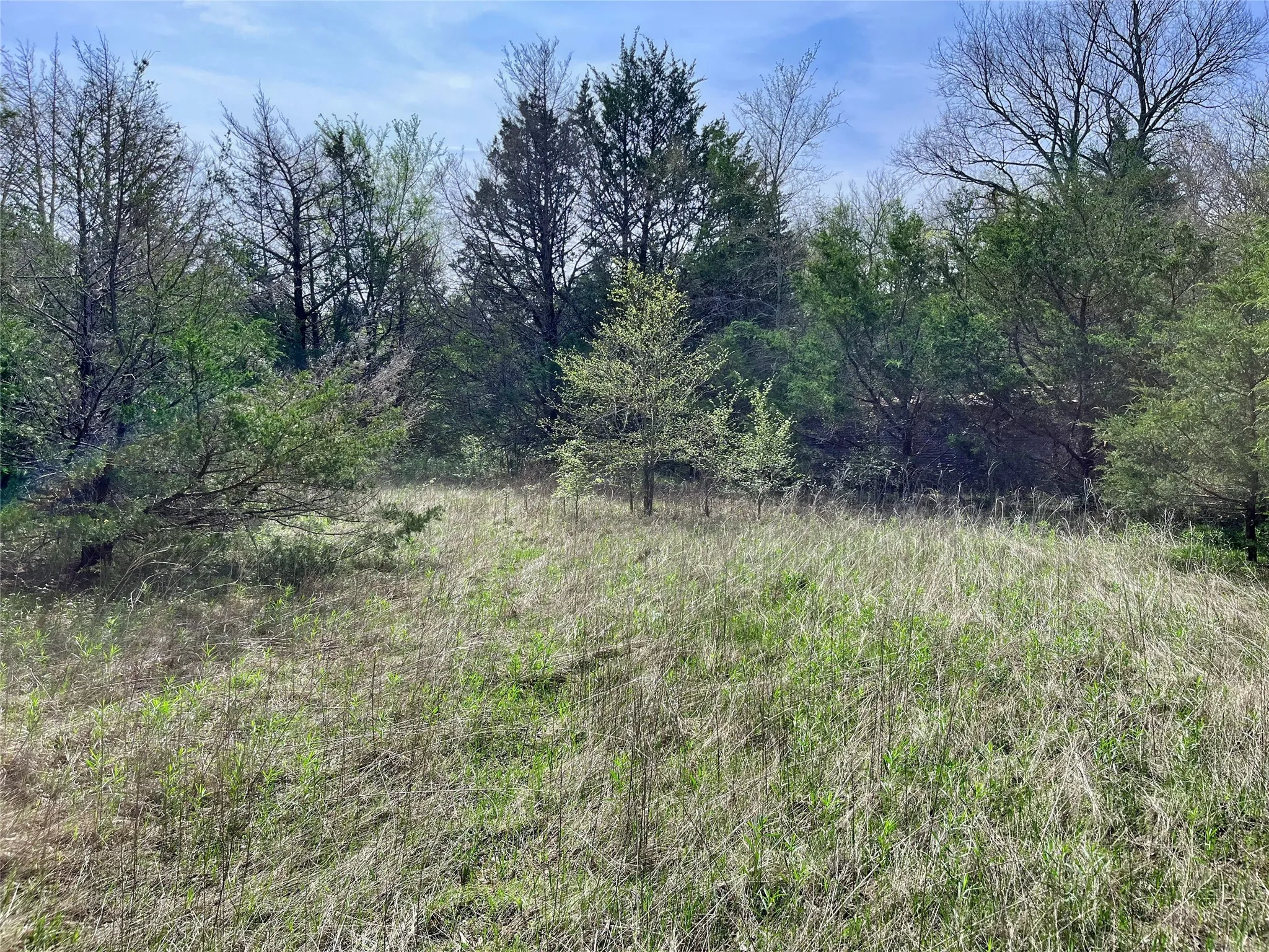 Unimproved Land For Sale in Fannin County , 9999 Fm 2645, Ector, Texas 75439, 0, 0, Garage spaces, 0 Sqft, built in 0, mls#21270364, Real Estate Agent in Ector, Homes For Sale in Fannin county, Homes For Sale in Ector, Realtor in Ector Texas, Real Estate Brokerage Independent Realty Texas, Luminita Cordes Realtor