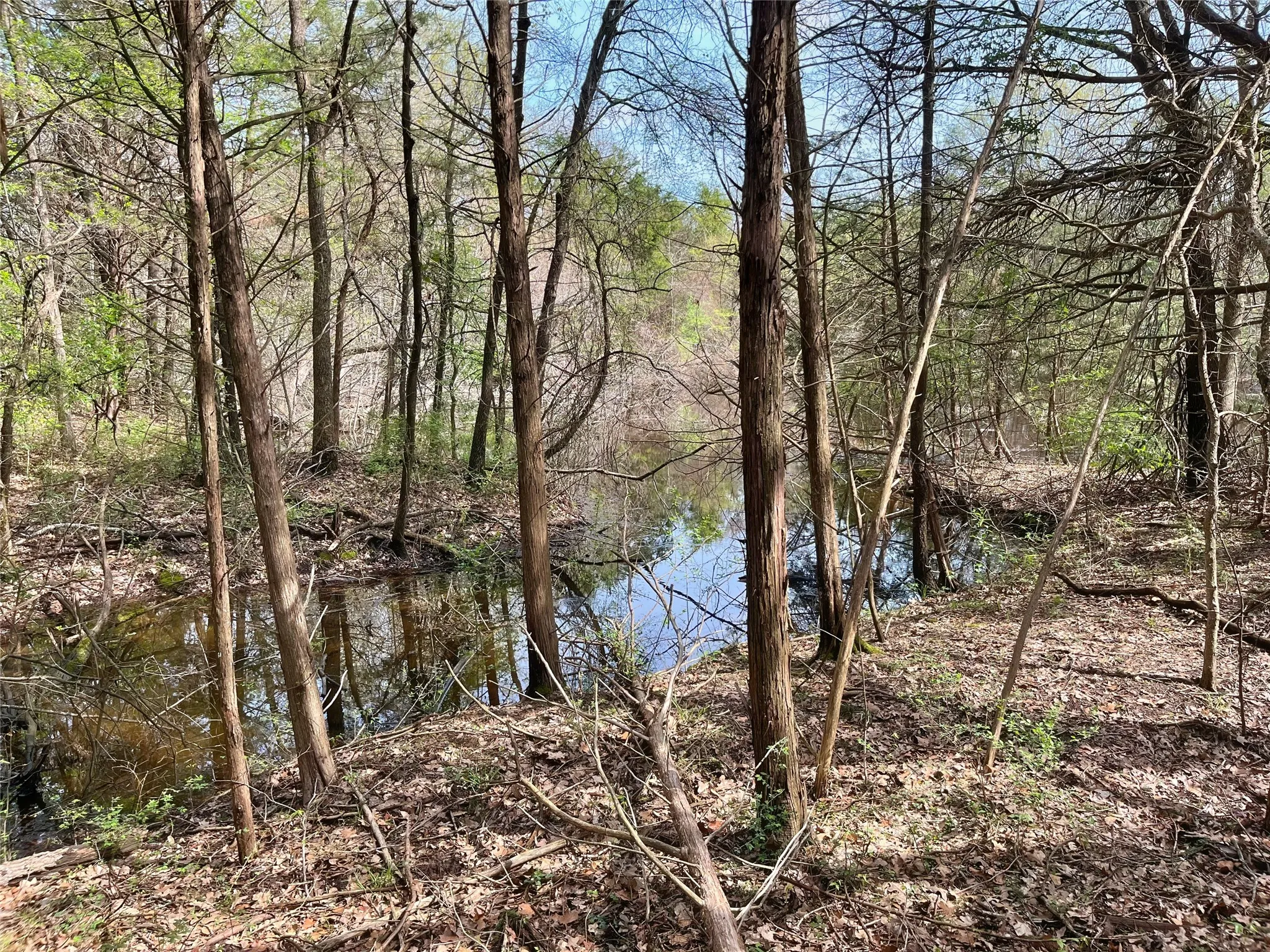 Unimproved Land For Sale in Fannin County , 9999 Fm 2645, Ector, Texas 75439, 0, 0, Garage spaces, 0 Sqft, built in 0, mls#21270364, Real Estate Agent in Ector, Homes For Sale in Fannin county, Homes For Sale in Ector, Realtor in Ector Texas, Real Estate Brokerage Independent Realty Texas, Luminita Cordes Realtor