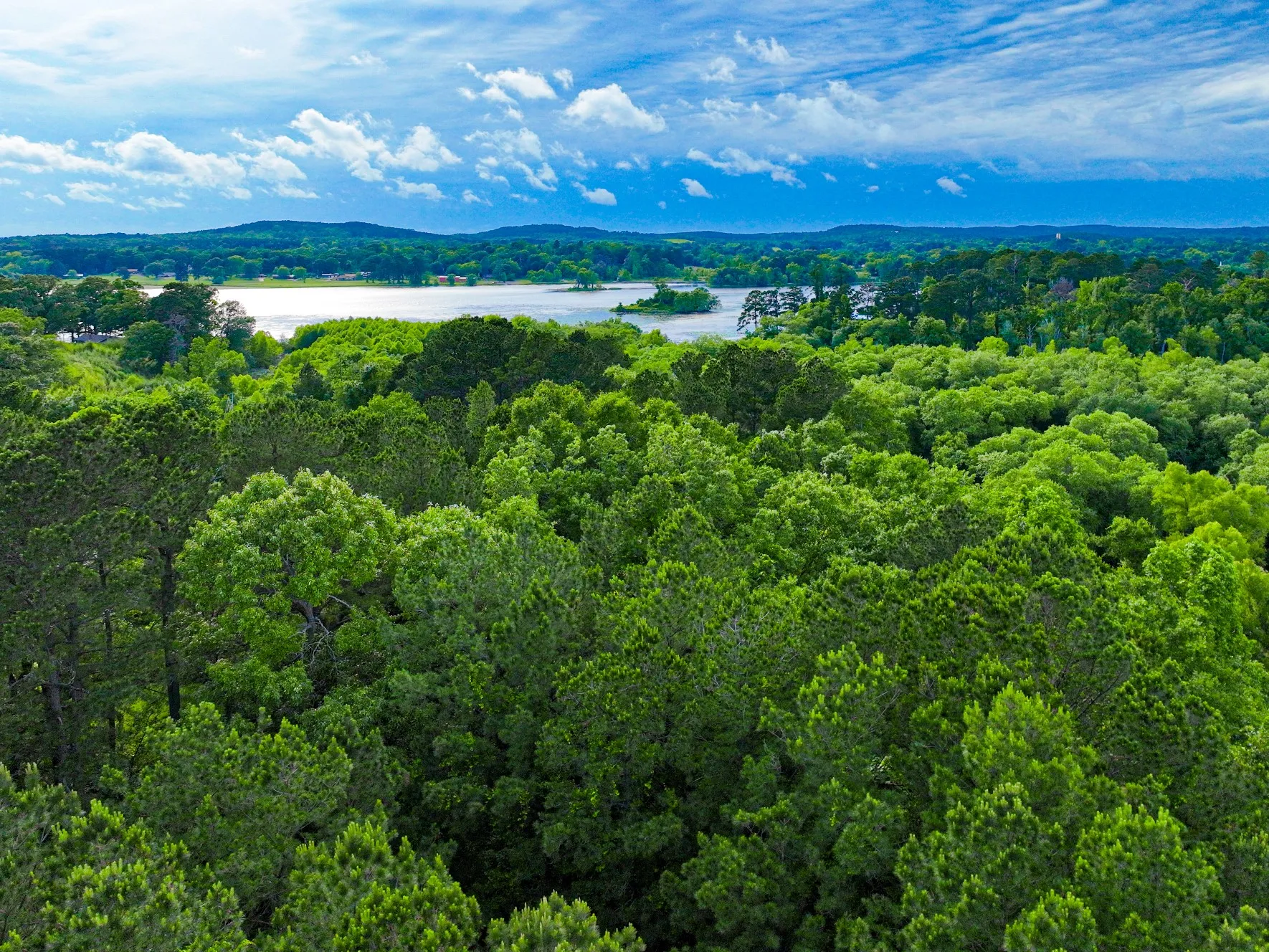 Unimproved Land For Sale in Morris County , 0 TBD W Cathy Street, Lone Star, Texas 75668, 0, 0, Garage spaces, 0 Sqft, built in 0, Price $27,900, mls#21270603, Real Estate Agent in Lone Star, Homes For Sale in Morris county, Homes For Sale in Lone Star, Realtor in Lone Star Texas, Real Estate Brokerage Independent Realty Texas, Luminita Cordes Realtor