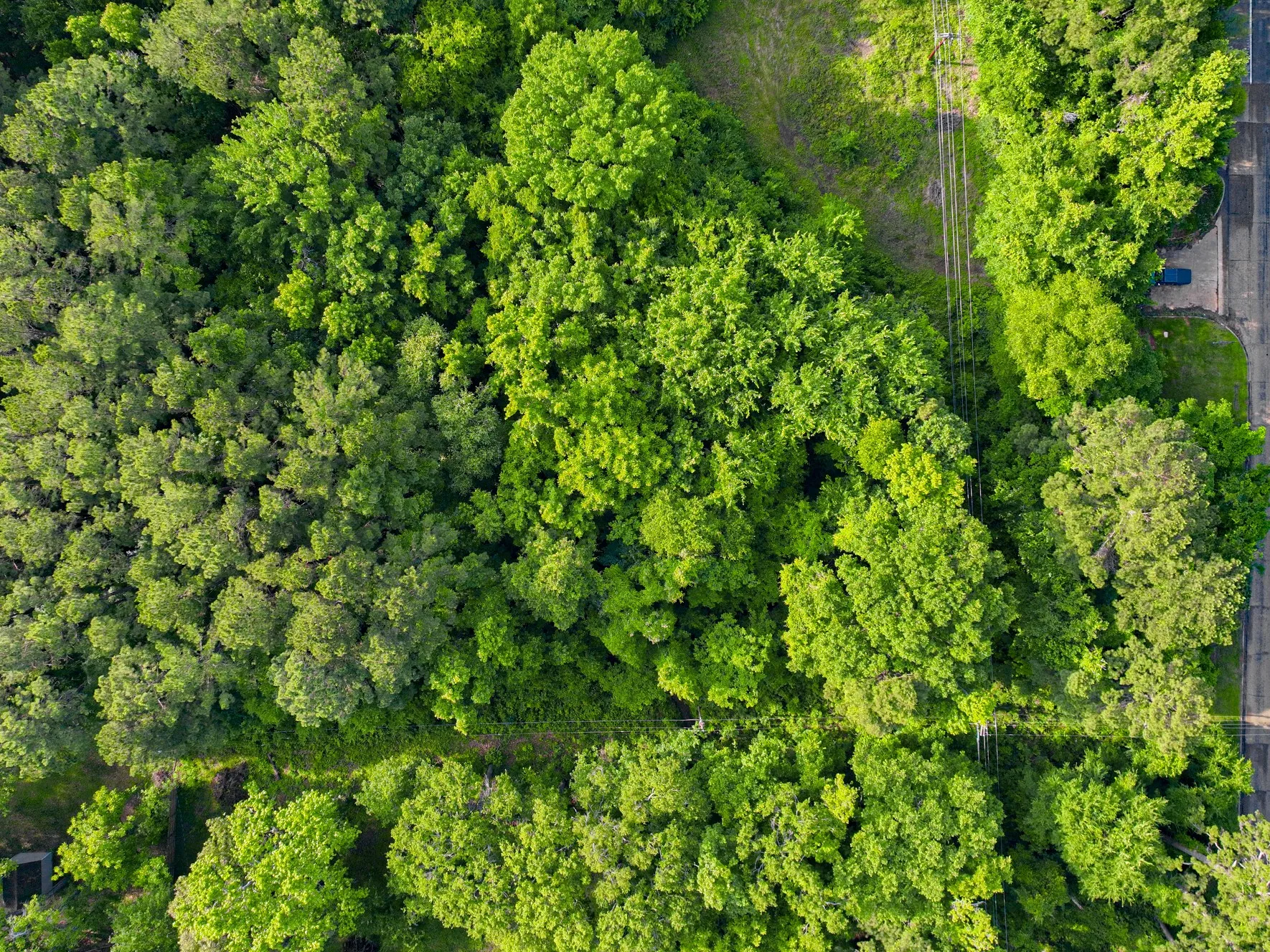 Unimproved Land For Sale in Morris County , 0 TBD W Cathy Street, Lone Star, Texas 75668, 0, 0, Garage spaces, 0 Sqft, built in 0, Price $27,900, mls#21270603, Real Estate Agent in Lone Star, Homes For Sale in Morris county, Homes For Sale in Lone Star, Realtor in Lone Star Texas, Real Estate Brokerage Independent Realty Texas, Luminita Cordes Realtor