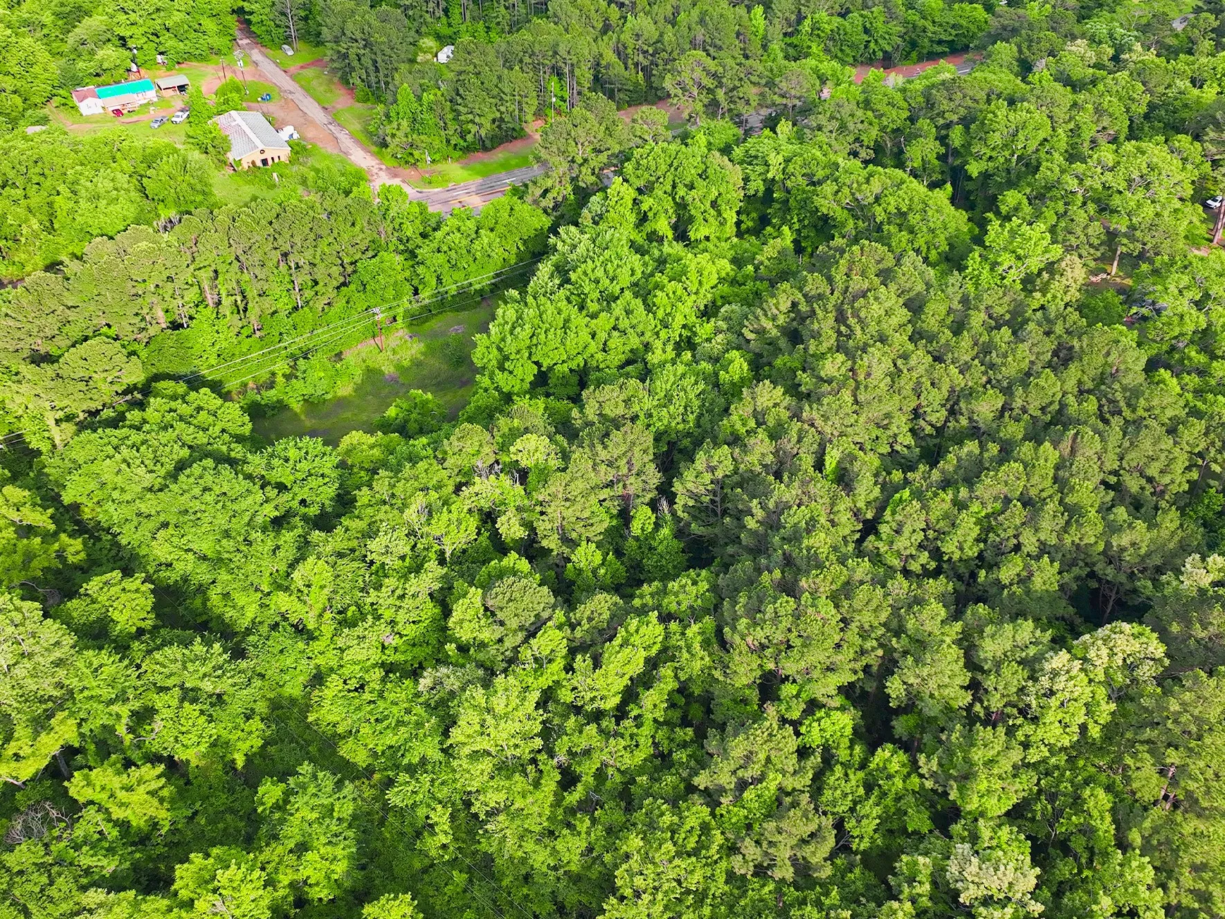 Unimproved Land For Sale in Morris County , 0 TBD W Cathy Street, Lone Star, Texas 75668, 0, 0, Garage spaces, 0 Sqft, built in 0, Price $27,900, mls#21270603, Real Estate Agent in Lone Star, Homes For Sale in Morris county, Homes For Sale in Lone Star, Realtor in Lone Star Texas, Real Estate Brokerage Independent Realty Texas, Luminita Cordes Realtor