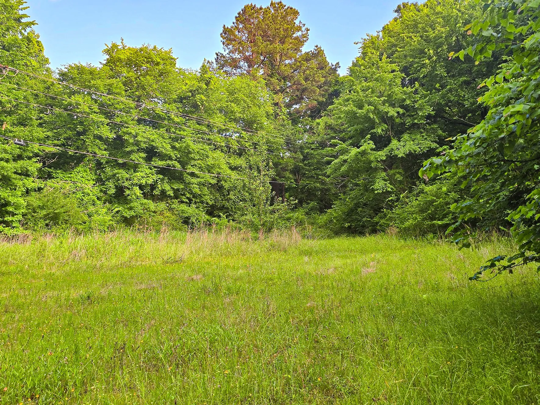 Unimproved Land For Sale in Morris County , 0 TBD W Cathy Street, Lone Star, Texas 75668, 0, 0, Garage spaces, 0 Sqft, built in 0, Price $27,900, mls#21270603, Real Estate Agent in Lone Star, Homes For Sale in Morris county, Homes For Sale in Lone Star, Realtor in Lone Star Texas, Real Estate Brokerage Independent Realty Texas, Luminita Cordes Realtor