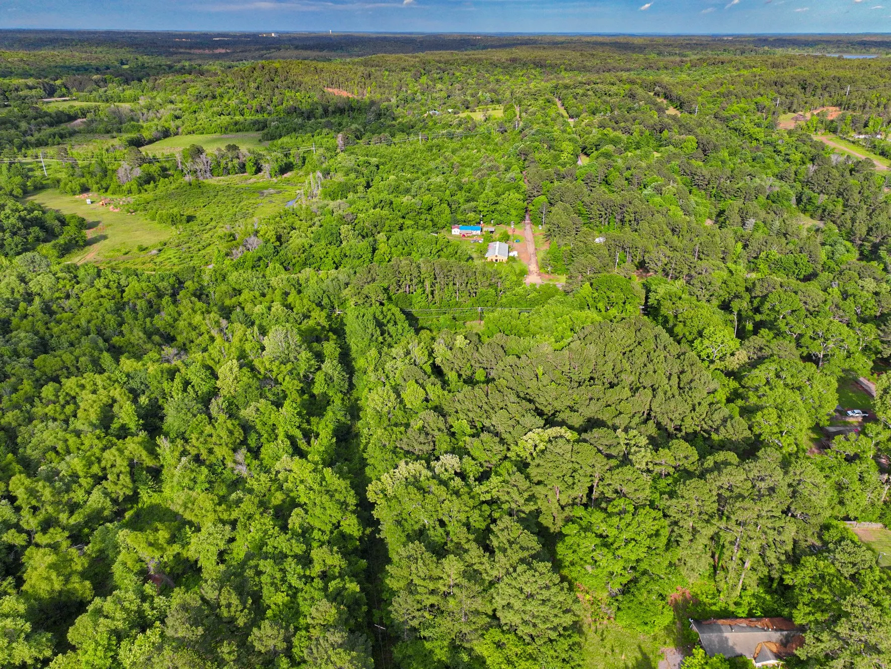 Unimproved Land For Sale in Morris County , 0 TBD W Cathy Street, Lone Star, Texas 75668, 0, 0, Garage spaces, 0 Sqft, built in 0, Price $27,900, mls#21270603, Real Estate Agent in Lone Star, Homes For Sale in Morris county, Homes For Sale in Lone Star, Realtor in Lone Star Texas, Real Estate Brokerage Independent Realty Texas, Luminita Cordes Realtor