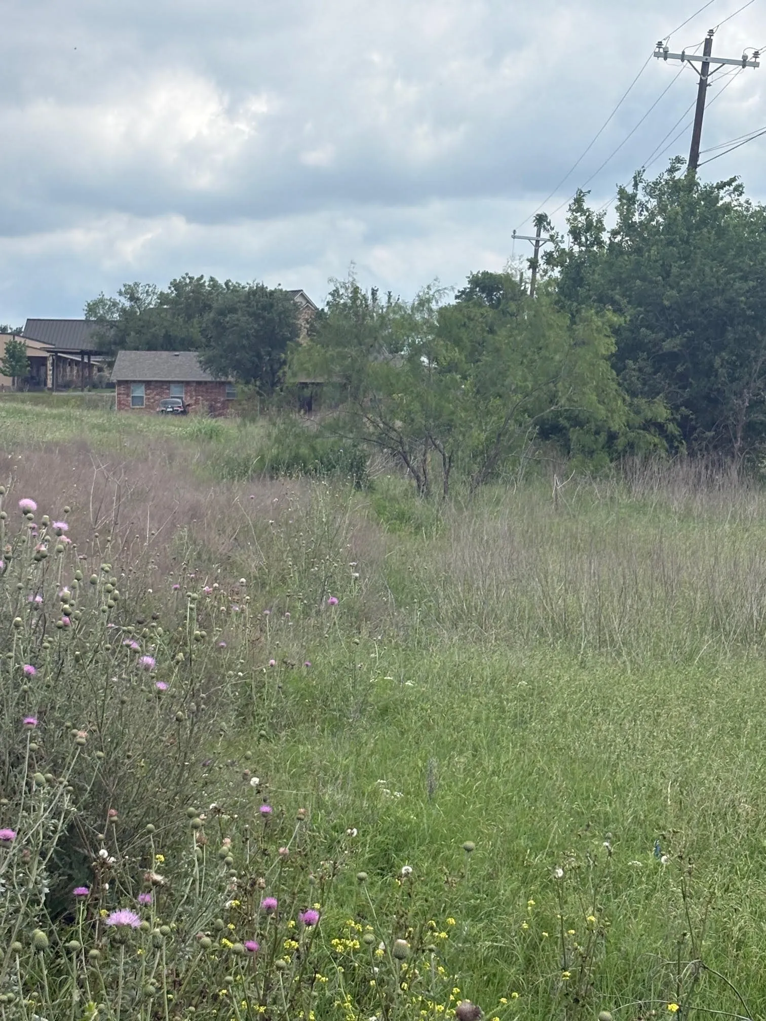 Unimproved Land For Sale in Ellis County , TBD Fm 157, Venus, Texas 76064, 0, 0, Garage spaces, 0 Sqft, built in 0, Price $675,000, mls#21268162, Real Estate Agent in Venus, Homes For Sale in Ellis county, Homes For Sale in Venus, Realtor in Venus Texas, Real Estate Brokerage Independent Realty Texas, Luminita Cordes Realtor