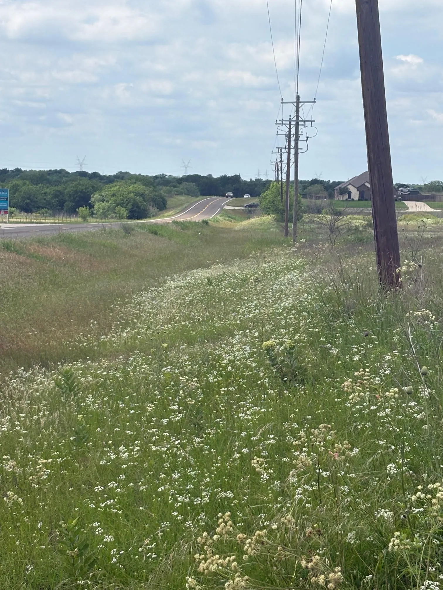 Unimproved Land For Sale in Ellis County , TBD Fm 157, Venus, Texas 76064, 0, 0, Garage spaces, 0 Sqft, built in 0, Price $675,000, mls#21268162, Real Estate Agent in Venus, Homes For Sale in Ellis county, Homes For Sale in Venus, Realtor in Venus Texas, Real Estate Brokerage Independent Realty Texas, Luminita Cordes Realtor