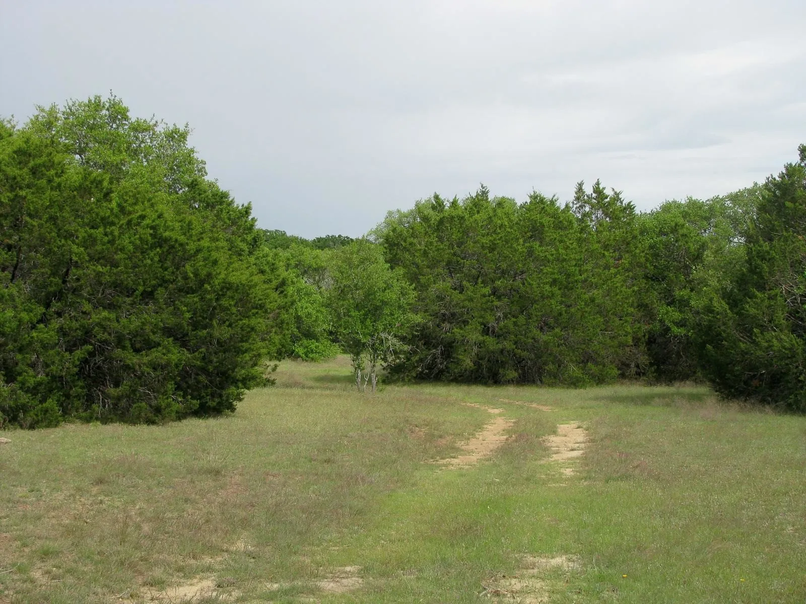 Ranch For Sale in Hamilton County , 1233 County Road 434, Hamilton, Texas 76531, 0, 0, Garage spaces, 0 Sqft, built in 1960, Price $2,650,000, mls#21270745, Real Estate Agent in Hamilton, Homes For Sale in Hamilton county, Homes For Sale in Hamilton, Realtor in Hamilton Texas, Real Estate Brokerage Independent Realty Texas, Luminita Cordes Realtor