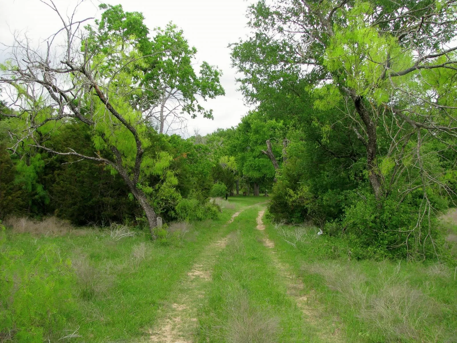 Ranch For Sale in Hamilton County , 1233 County Road 434, Hamilton, Texas 76531, 0, 0, Garage spaces, 0 Sqft, built in 1960, Price $2,650,000, mls#21270745, Real Estate Agent in Hamilton, Homes For Sale in Hamilton county, Homes For Sale in Hamilton, Realtor in Hamilton Texas, Real Estate Brokerage Independent Realty Texas, Luminita Cordes Realtor