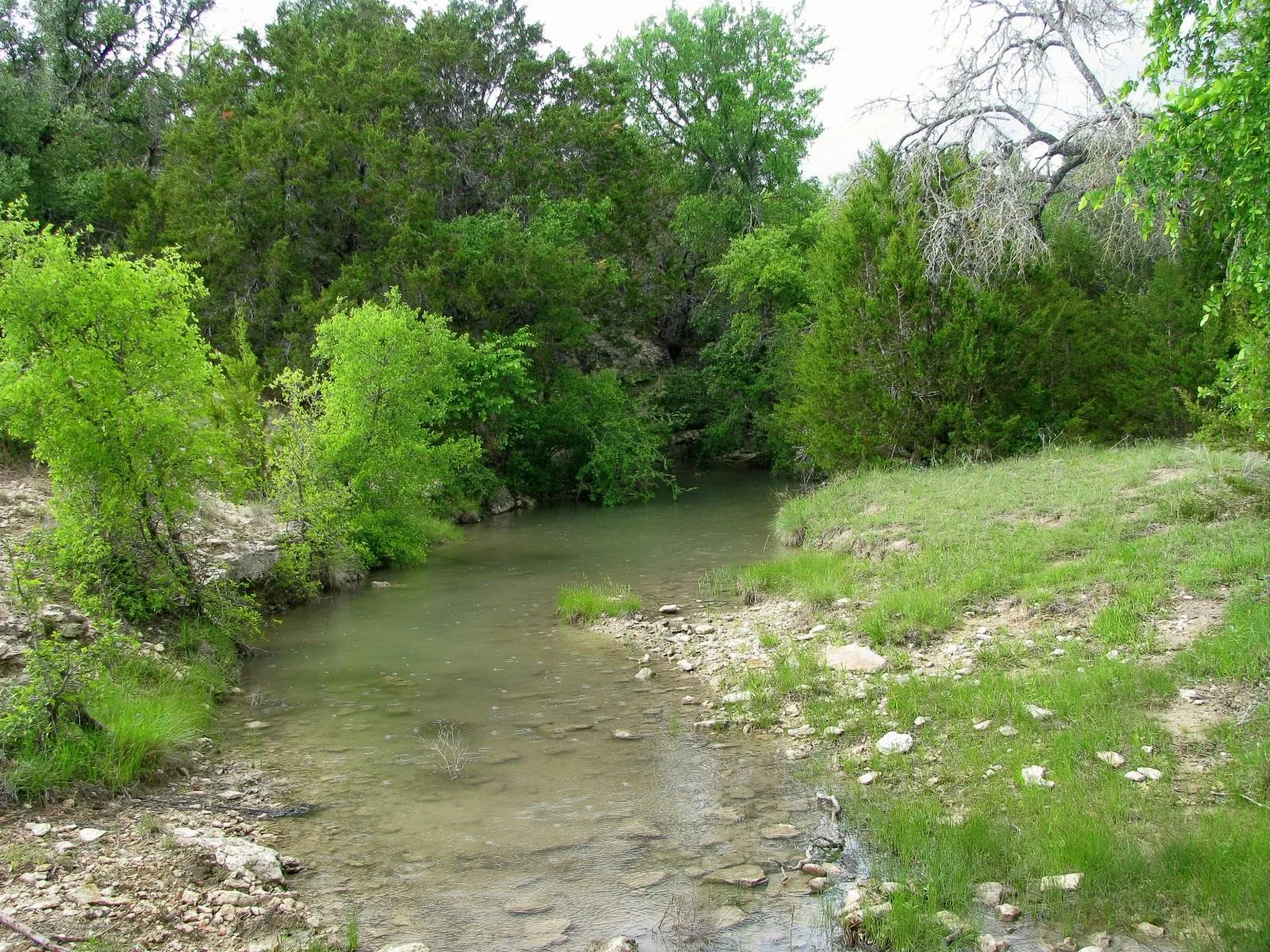 Ranch For Sale in Hamilton County , 1233 County Road 434, Hamilton, Texas 76531, 0, 0, Garage spaces, 0 Sqft, built in 1960, Price $2,650,000, mls#21270745, Real Estate Agent in Hamilton, Homes For Sale in Hamilton county, Homes For Sale in Hamilton, Realtor in Hamilton Texas, Real Estate Brokerage Independent Realty Texas, Luminita Cordes Realtor