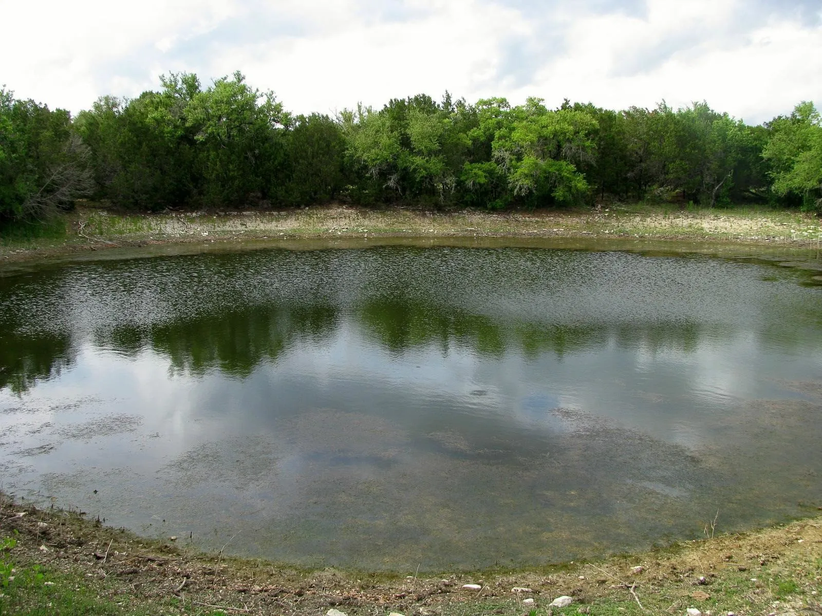 Ranch For Sale in Hamilton County , 1233 County Road 434, Hamilton, Texas 76531, 0, 0, Garage spaces, 0 Sqft, built in 1960, Price $2,650,000, mls#21270745, Real Estate Agent in Hamilton, Homes For Sale in Hamilton county, Homes For Sale in Hamilton, Realtor in Hamilton Texas, Real Estate Brokerage Independent Realty Texas, Luminita Cordes Realtor