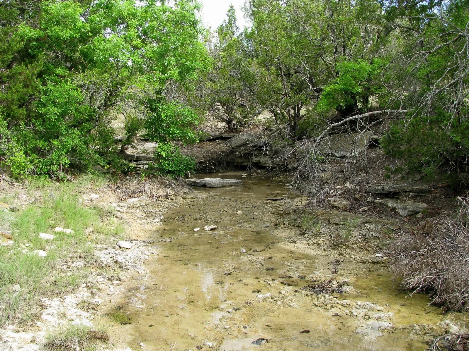 Ranch For Sale in Hamilton County , 1233 County Road 434, Hamilton, Texas 76531, 0, 0, Garage spaces, 0 Sqft, built in 1960, Price $2,650,000, mls#21270745, Real Estate Agent in Hamilton, Homes For Sale in Hamilton county, Homes For Sale in Hamilton, Realtor in Hamilton Texas, Real Estate Brokerage Independent Realty Texas, Luminita Cordes Realtor