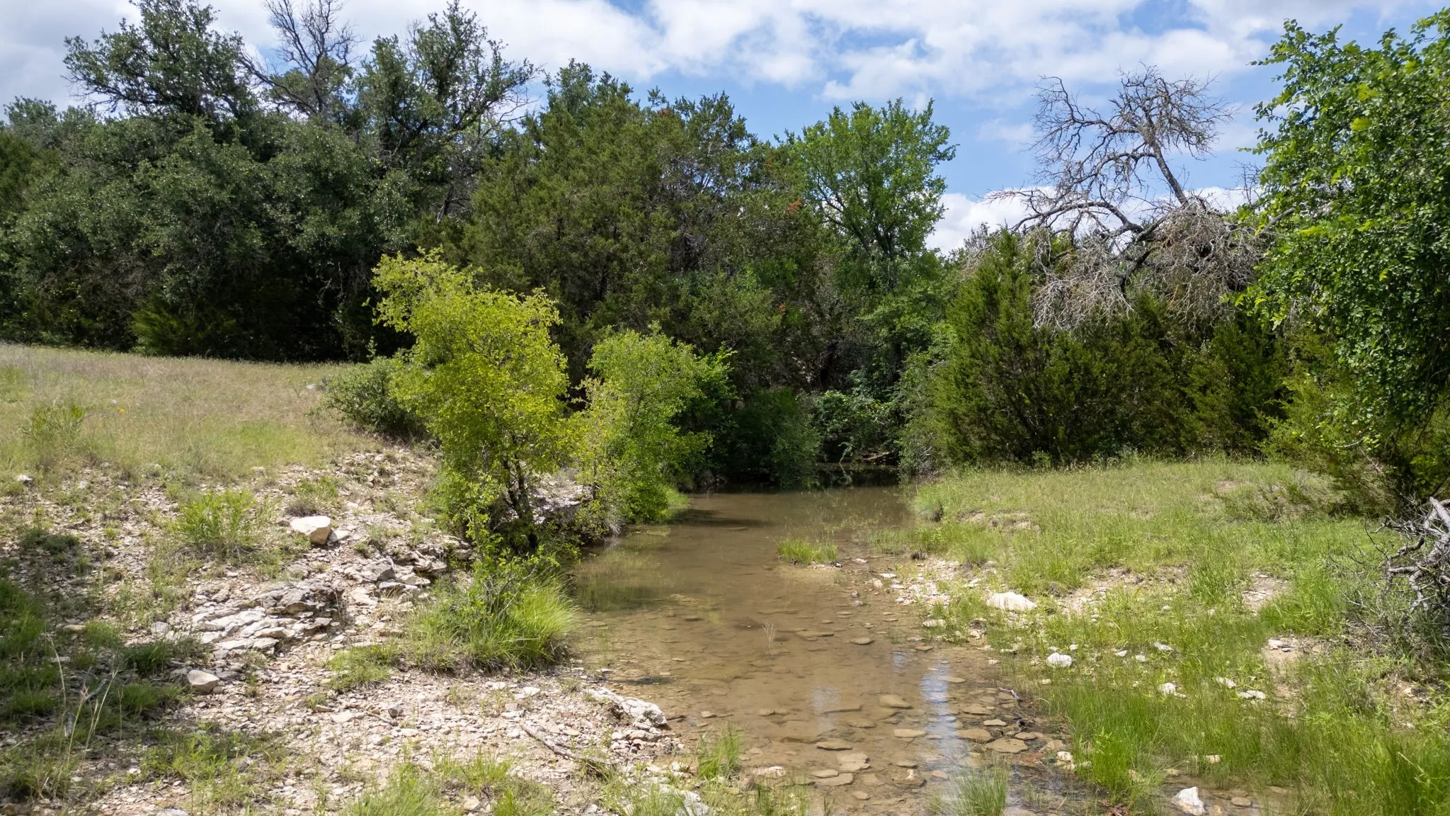 Ranch For Sale in Hamilton County , 1233 County Road 434, Hamilton, Texas 76531, 0, 0, Garage spaces, 0 Sqft, built in 1960, Price $2,650,000, mls#21270745, Real Estate Agent in Hamilton, Homes For Sale in Hamilton county, Homes For Sale in Hamilton, Realtor in Hamilton Texas, Real Estate Brokerage Independent Realty Texas, Luminita Cordes Realtor