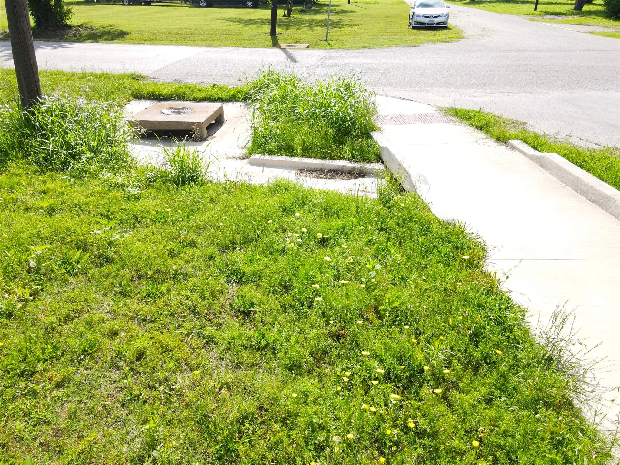 View of property's community featuring a yard