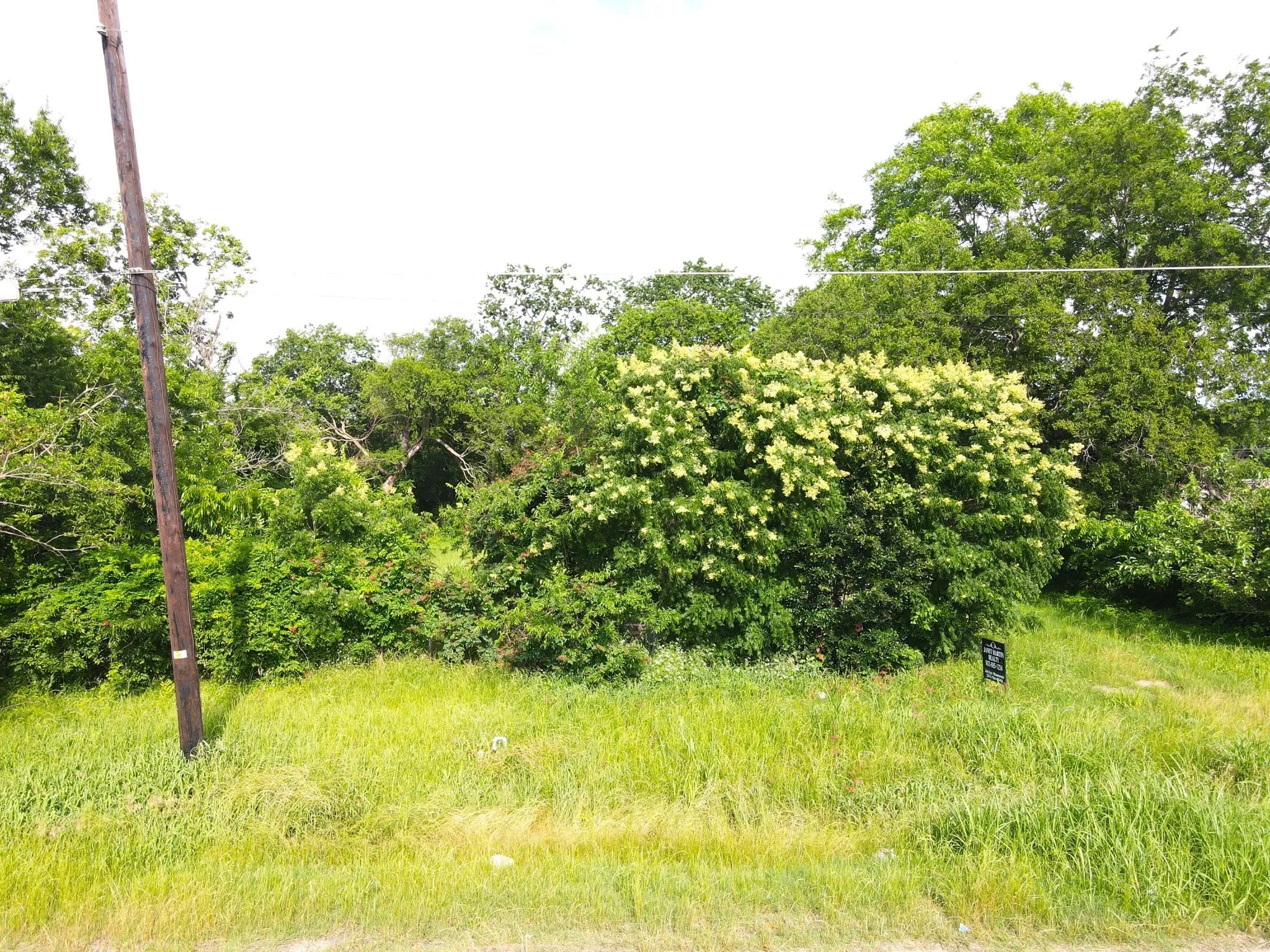 View of undeveloped land