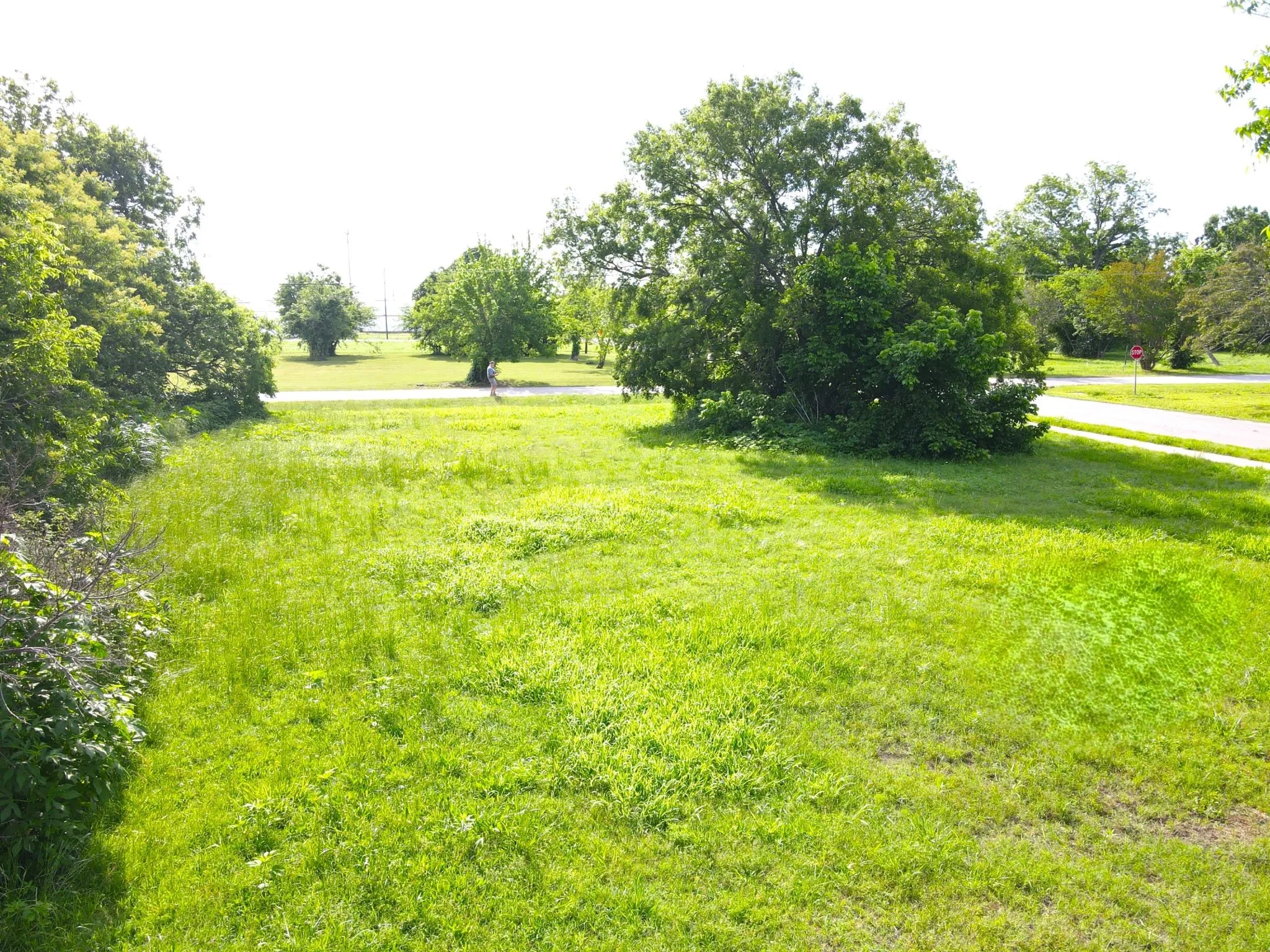 View of green lawn