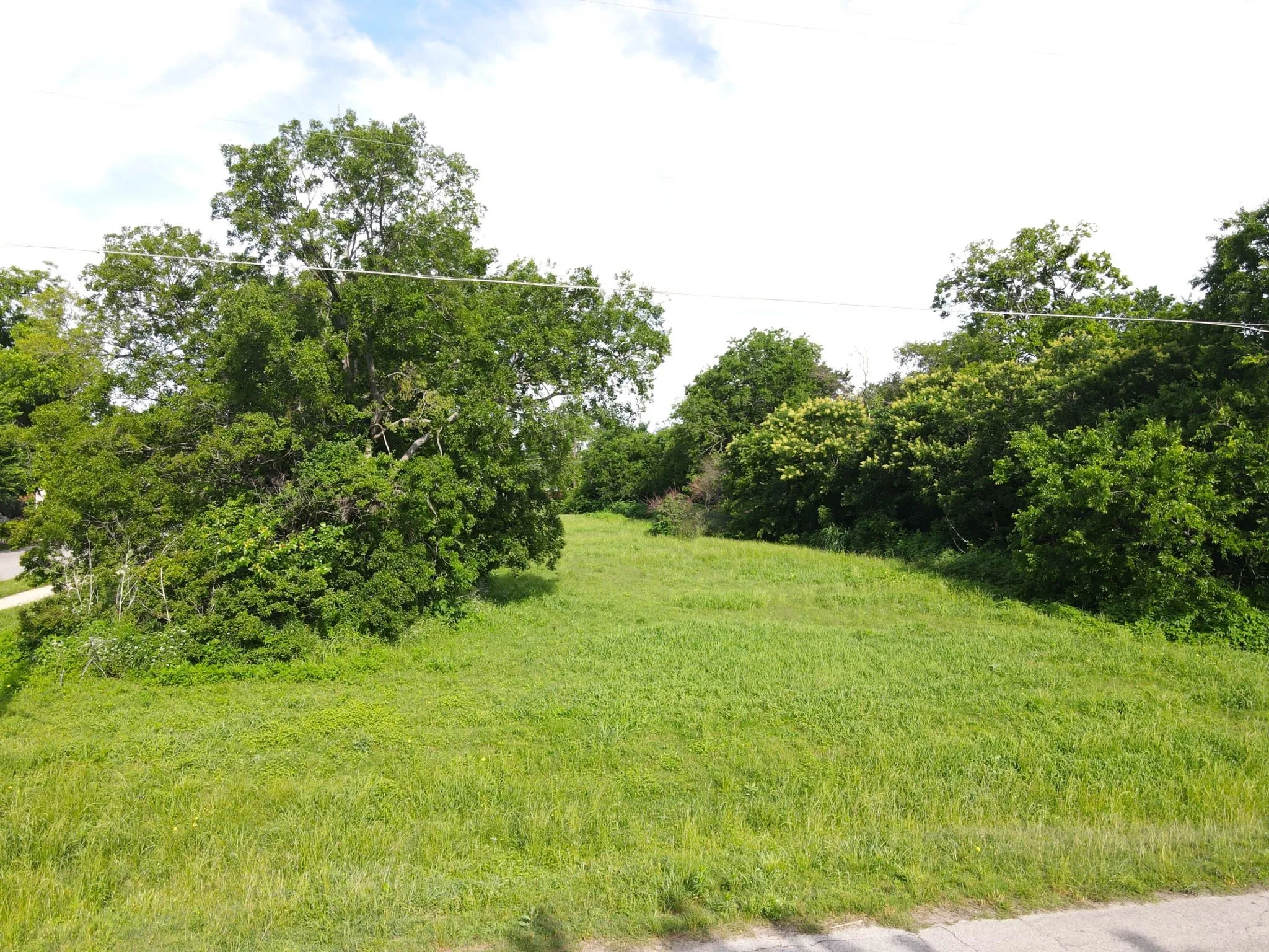 View of yard with view of scattered trees