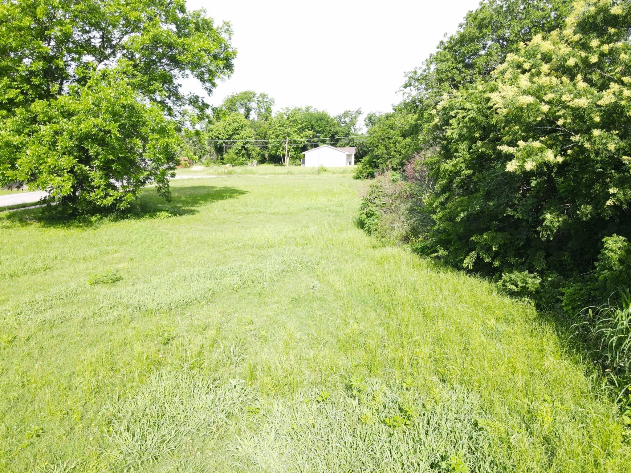 View of yard featuring view of scattered trees