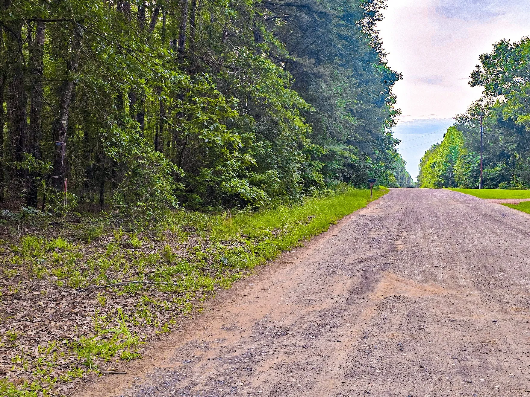 Unimproved Land For Sale in Harrison County , TBD Pr 2702, Waskom, Texas 75692, 0, 0, Garage spaces, 0 Sqft, built in 0, Price $39,900, mls#21270788, Real Estate Agent in Waskom, Homes For Sale in Harrison county, Homes For Sale in Waskom, Realtor in Waskom Texas, Real Estate Brokerage Independent Realty Texas, Luminita Cordes Realtor