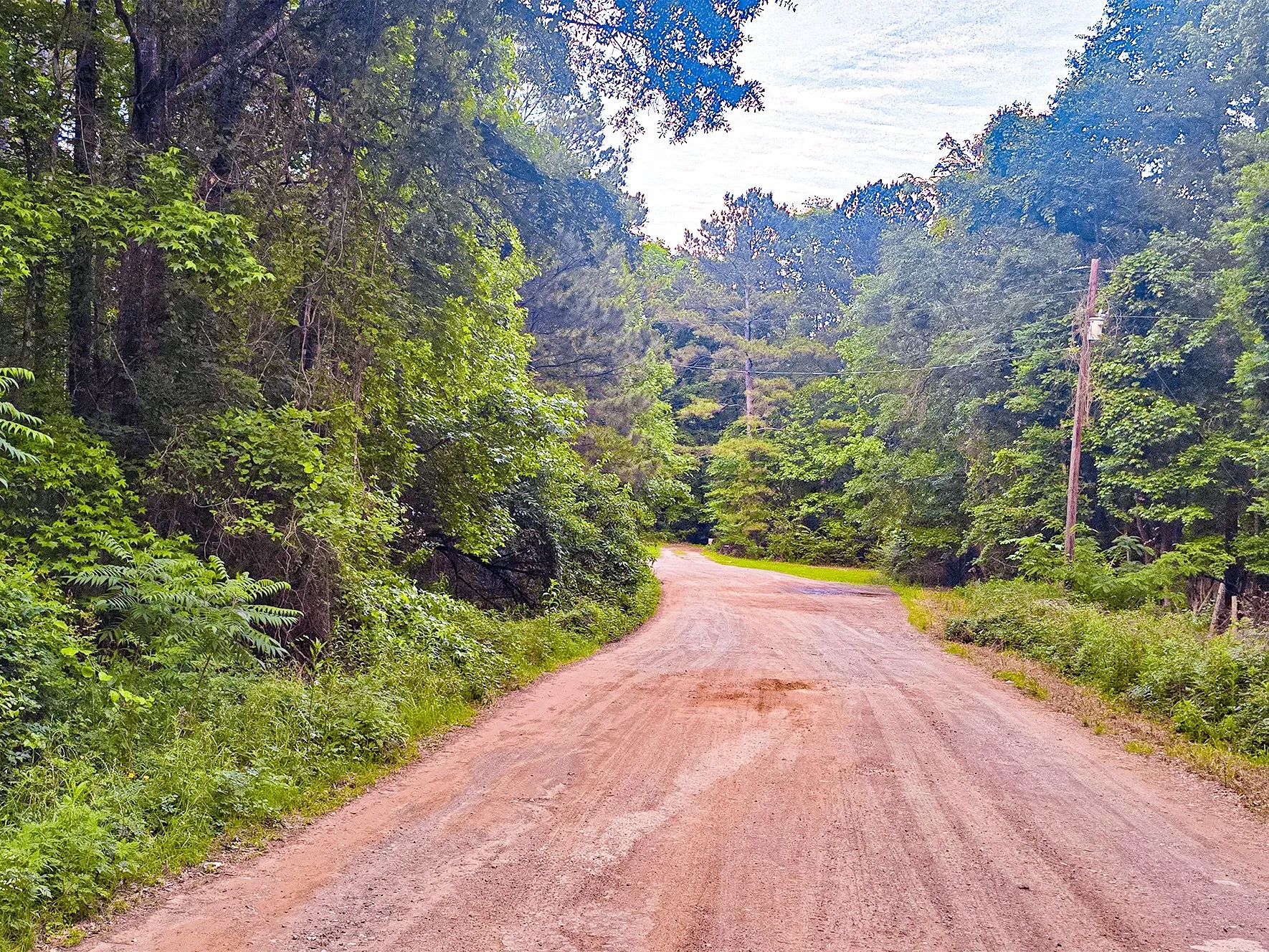 Unimproved Land For Sale in Harrison County , TBD Pr 2702, Waskom, Texas 75692, 0, 0, Garage spaces, 0 Sqft, built in 0, Price $39,900, mls#21270788, Real Estate Agent in Waskom, Homes For Sale in Harrison county, Homes For Sale in Waskom, Realtor in Waskom Texas, Real Estate Brokerage Independent Realty Texas, Luminita Cordes Realtor