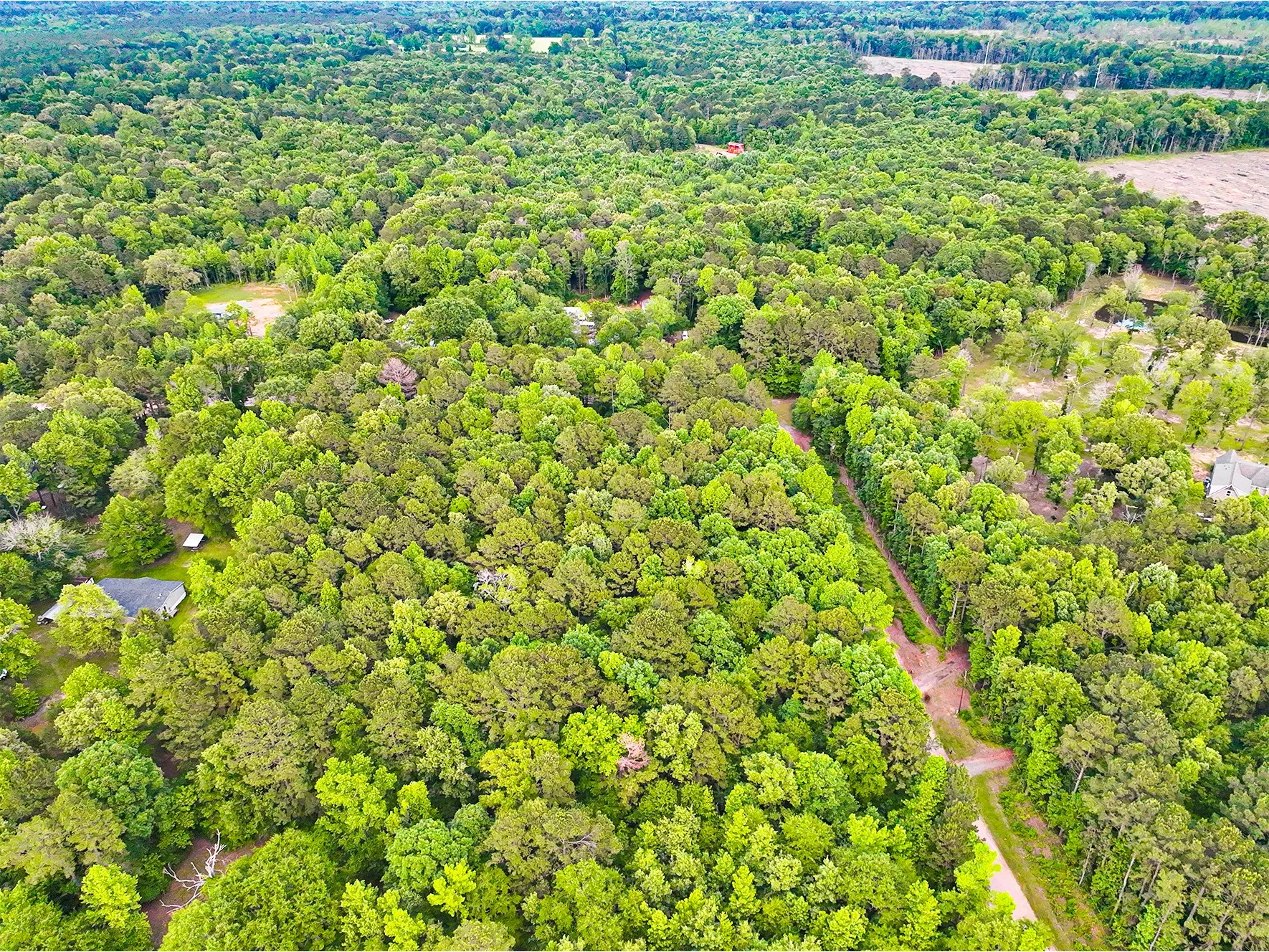 Unimproved Land For Sale in Harrison County , TBD Pr 2702, Waskom, Texas 75692, 0, 0, Garage spaces, 0 Sqft, built in 0, Price $39,900, mls#21270788, Real Estate Agent in Waskom, Homes For Sale in Harrison county, Homes For Sale in Waskom, Realtor in Waskom Texas, Real Estate Brokerage Independent Realty Texas, Luminita Cordes Realtor