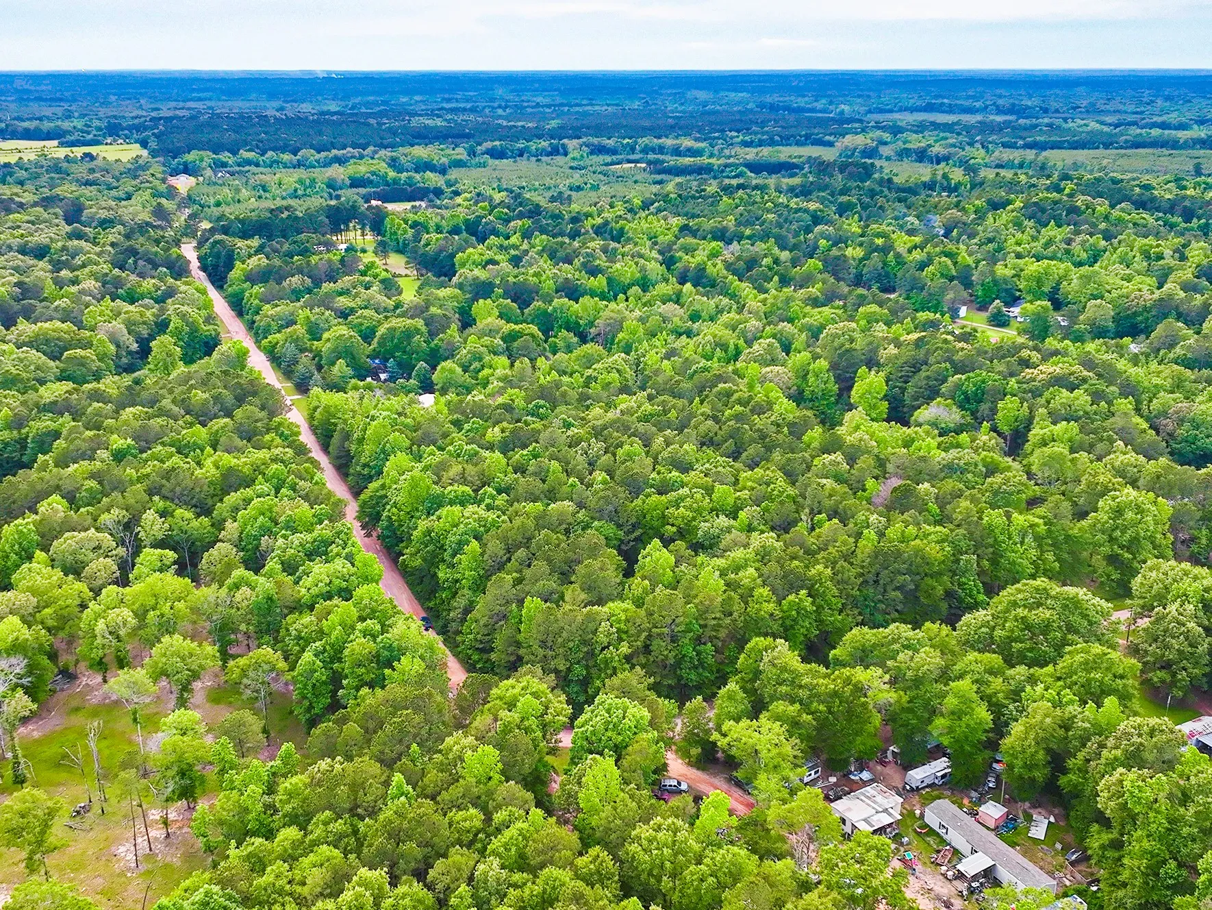 Unimproved Land For Sale in Harrison County , TBD Pr 2702, Waskom, Texas 75692, 0, 0, Garage spaces, 0 Sqft, built in 0, Price $39,900, mls#21270788, Real Estate Agent in Waskom, Homes For Sale in Harrison county, Homes For Sale in Waskom, Realtor in Waskom Texas, Real Estate Brokerage Independent Realty Texas, Luminita Cordes Realtor