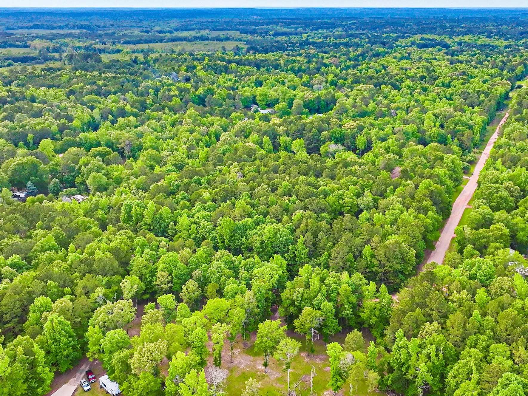 Unimproved Land For Sale in Harrison County , TBD Pr 2702, Waskom, Texas 75692, 0, 0, Garage spaces, 0 Sqft, built in 0, Price $39,900, mls#21270788, Real Estate Agent in Waskom, Homes For Sale in Harrison county, Homes For Sale in Waskom, Realtor in Waskom Texas, Real Estate Brokerage Independent Realty Texas, Luminita Cordes Realtor