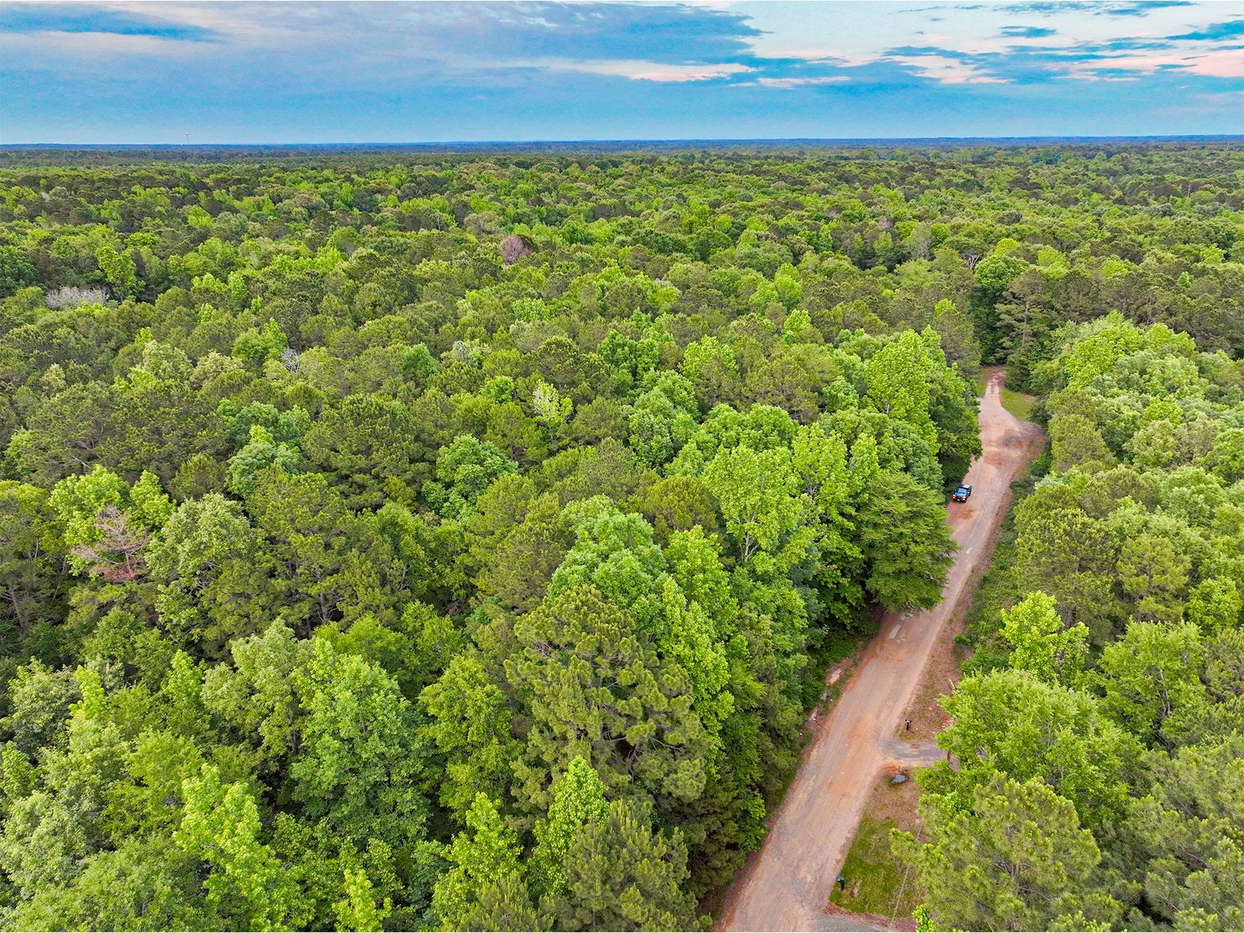 Unimproved Land For Sale in Harrison County , TBD Pr 2702, Waskom, Texas 75692, 0, 0, Garage spaces, 0 Sqft, built in 0, Price $39,900, mls#21270788, Real Estate Agent in Waskom, Homes For Sale in Harrison county, Homes For Sale in Waskom, Realtor in Waskom Texas, Real Estate Brokerage Independent Realty Texas, Luminita Cordes Realtor