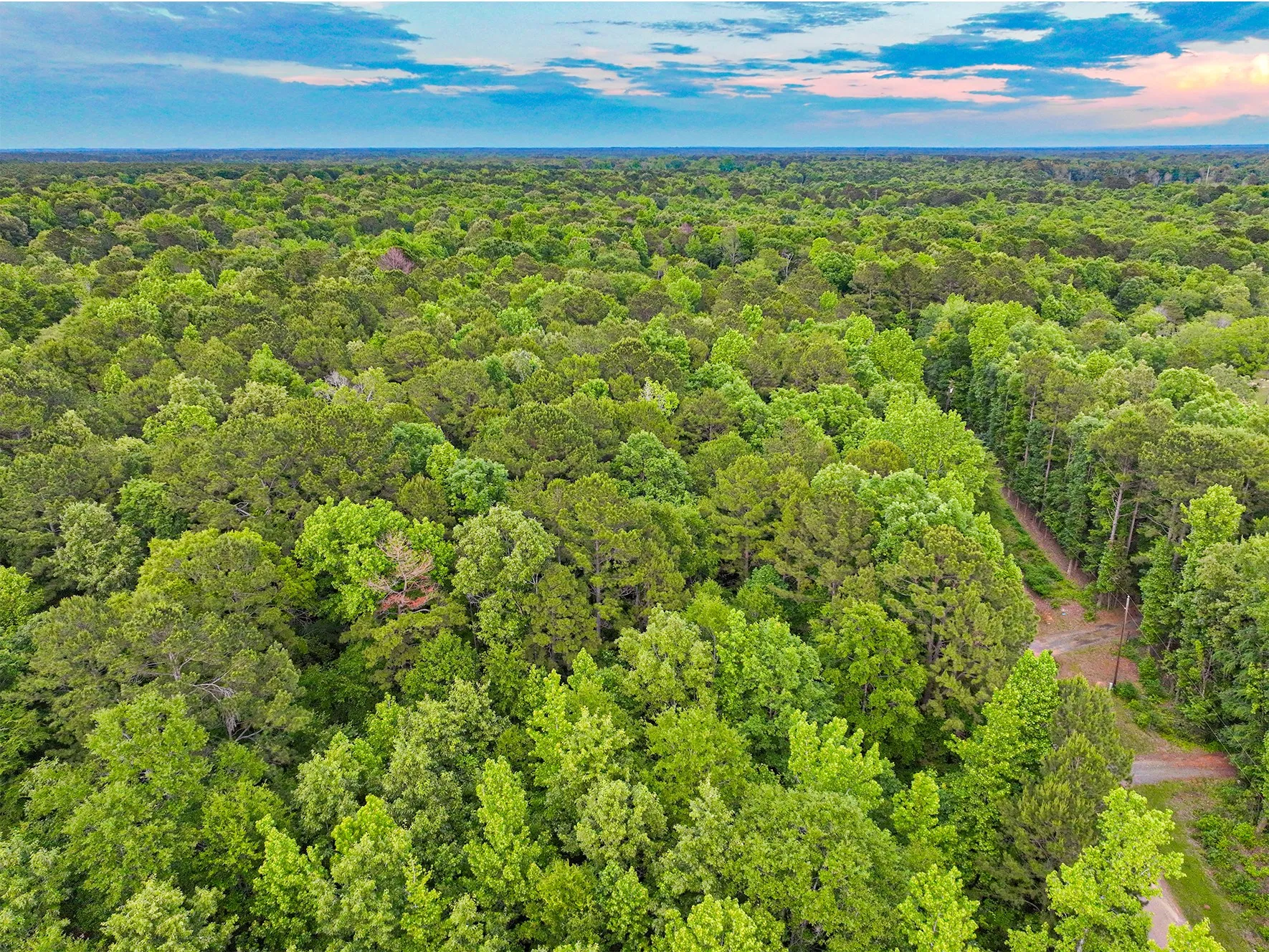 Unimproved Land For Sale in Harrison County , TBD Pr 2702, Waskom, Texas 75692, 0, 0, Garage spaces, 0 Sqft, built in 0, Price $39,900, mls#21270788, Real Estate Agent in Waskom, Homes For Sale in Harrison county, Homes For Sale in Waskom, Realtor in Waskom Texas, Real Estate Brokerage Independent Realty Texas, Luminita Cordes Realtor