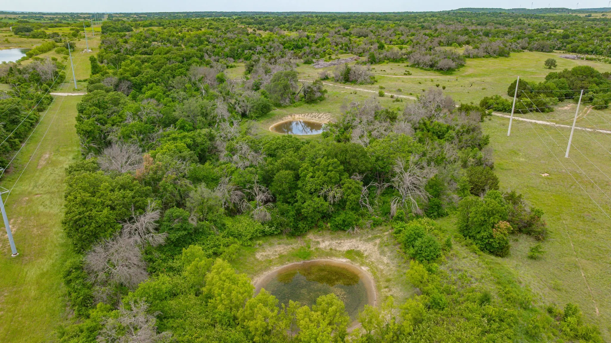 Unimproved Land For Sale in Erath County , 31080 W FM 8, Dublin, Texas 76446, 0, 0, Garage spaces, 0 Sqft, built in 0, mls#21268957, Real Estate Agent in Dublin, Homes For Sale in Erath county, Homes For Sale in Dublin, Realtor in Dublin Texas, Real Estate Brokerage Independent Realty Texas, Luminita Cordes Realtor
