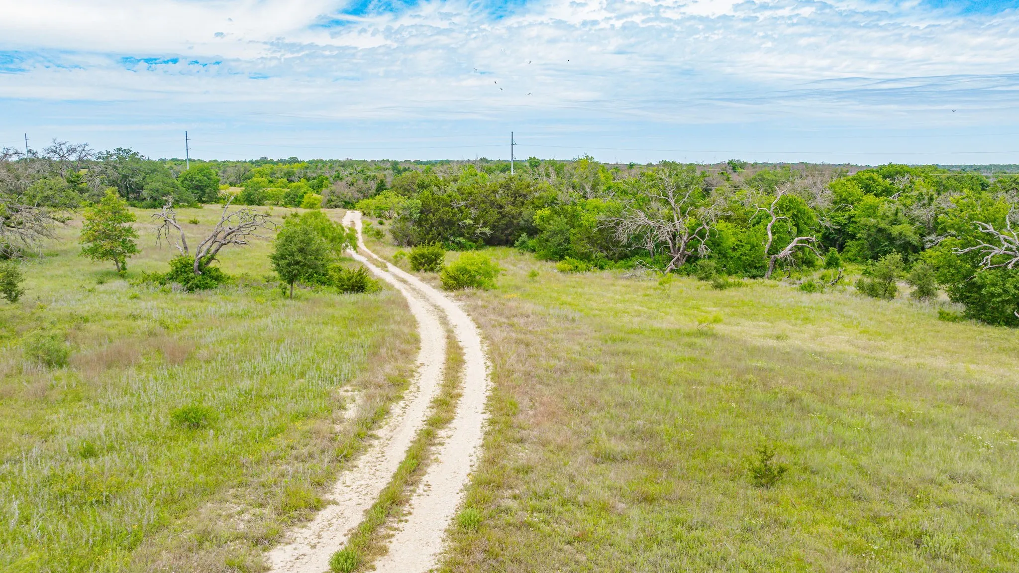 Unimproved Land For Sale in Erath County , 31080 W FM 8, Dublin, Texas 76446, 0, 0, Garage spaces, 0 Sqft, built in 0, mls#21268957, Real Estate Agent in Dublin, Homes For Sale in Erath county, Homes For Sale in Dublin, Realtor in Dublin Texas, Real Estate Brokerage Independent Realty Texas, Luminita Cordes Realtor