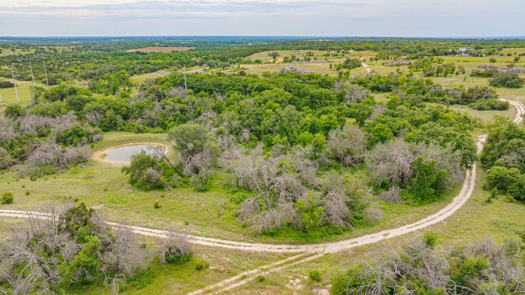 Unimproved Land For Sale in Erath County , 31080 W FM 8, Dublin, Texas 76446, 0, 0, Garage spaces, 0 Sqft, built in 0, mls#21268957, Real Estate Agent in Dublin, Homes For Sale in Erath county, Homes For Sale in Dublin, Realtor in Dublin Texas, Real Estate Brokerage Independent Realty Texas, Luminita Cordes Realtor